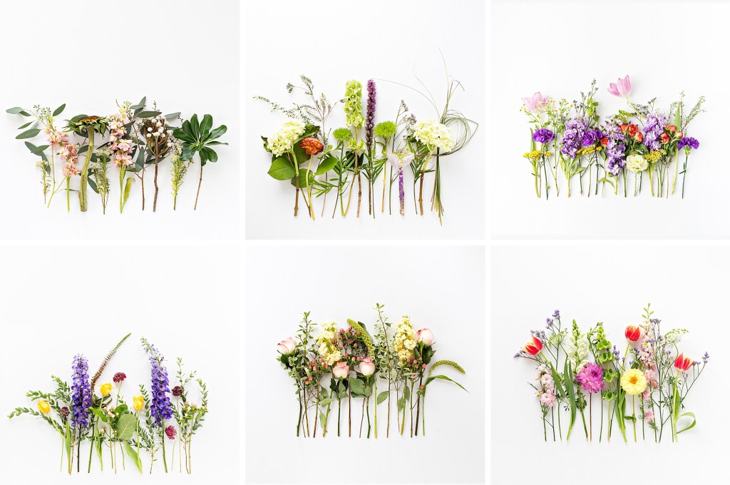 2017 Deconstruction Project photographed by floral photographer Brenda Landrum of Castle Rock Colorado