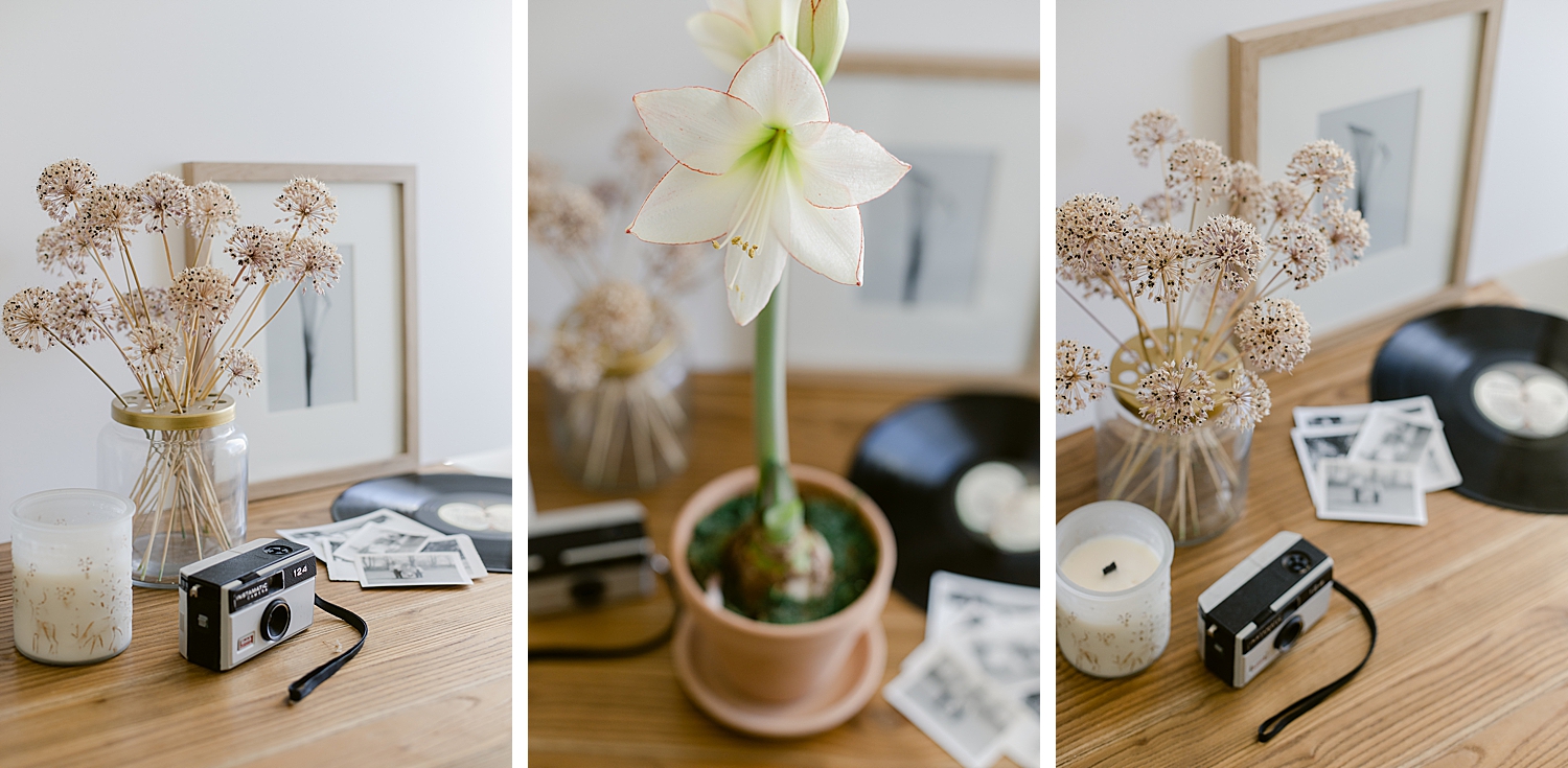Potted amaryllis bulb, dried allium blooms, framed floral fine art print, vintage camera, vintage Beatles record, still life photography, Brenda Landrum of Colorado