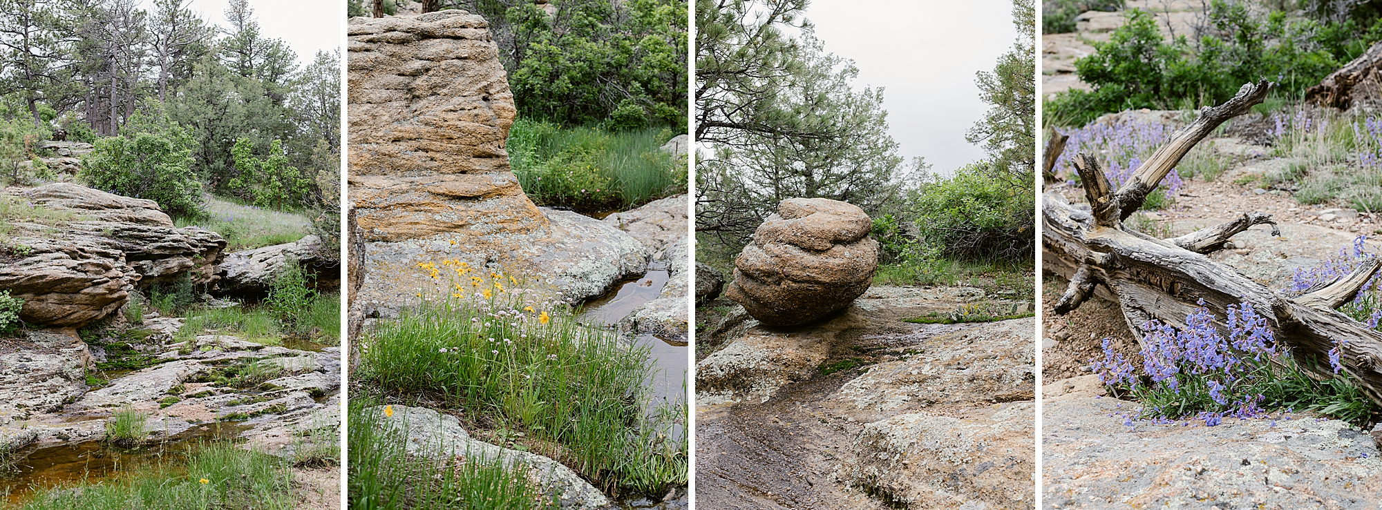 Castlewood Canyon State Park in Franktown, Colorado. East Canyon Trail June 2023