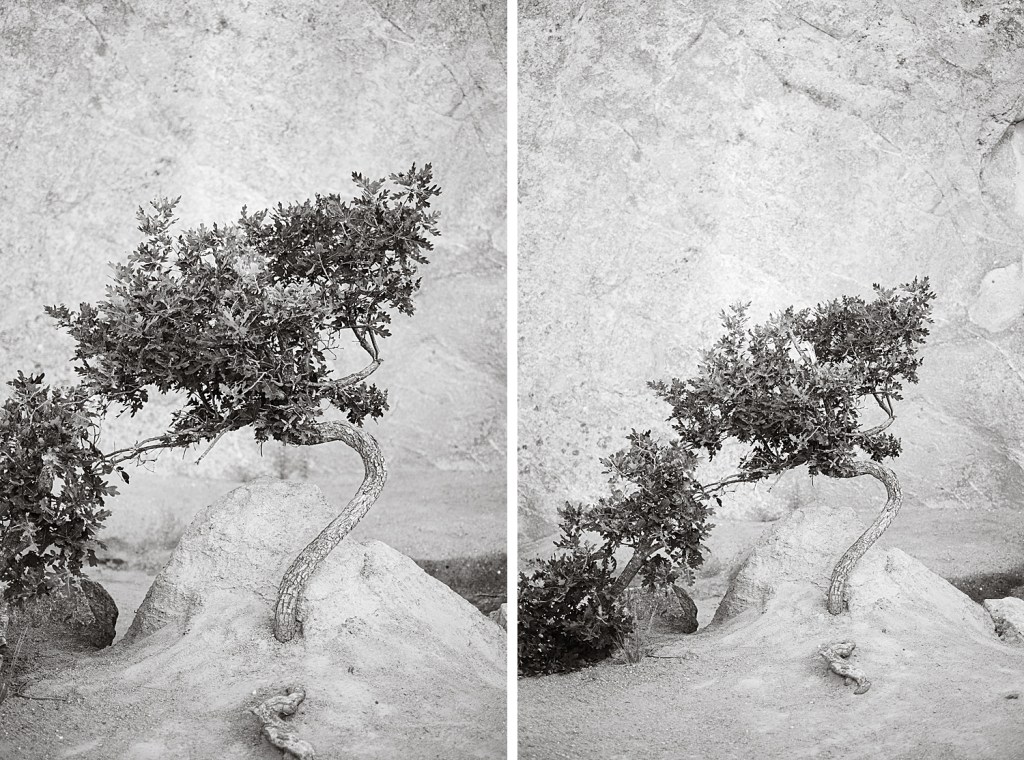 Garden of the Gods in Colorado Springs, Landscape Photography by Brenda Landrum.