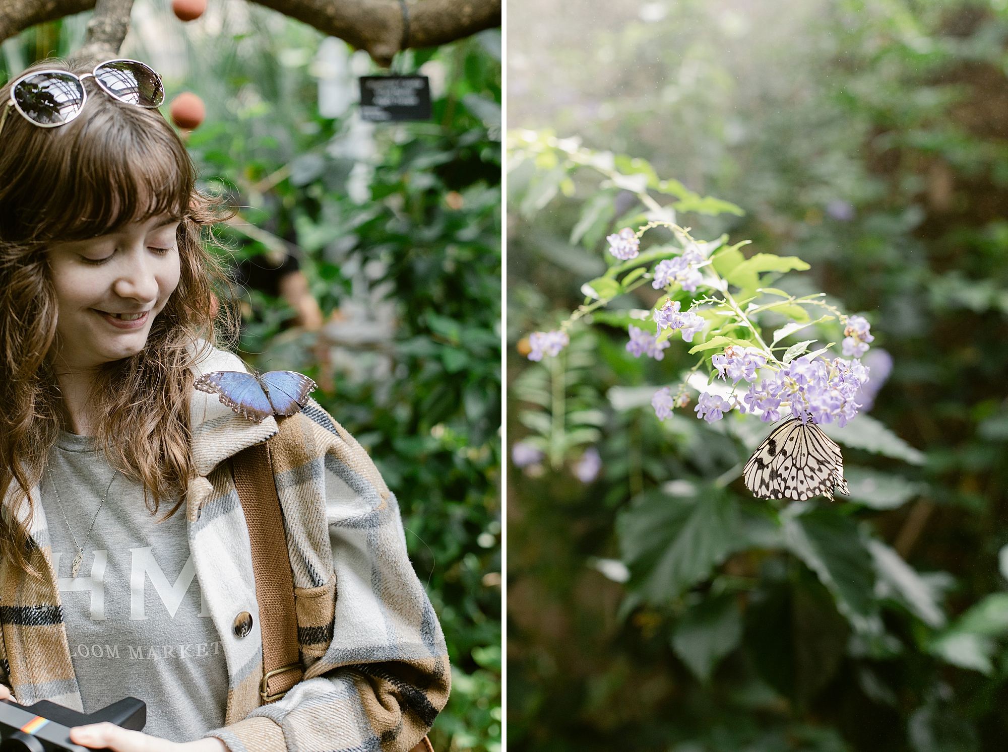 Denver Butterfly Pavilion May 2023, Brenda Landrum Photographer