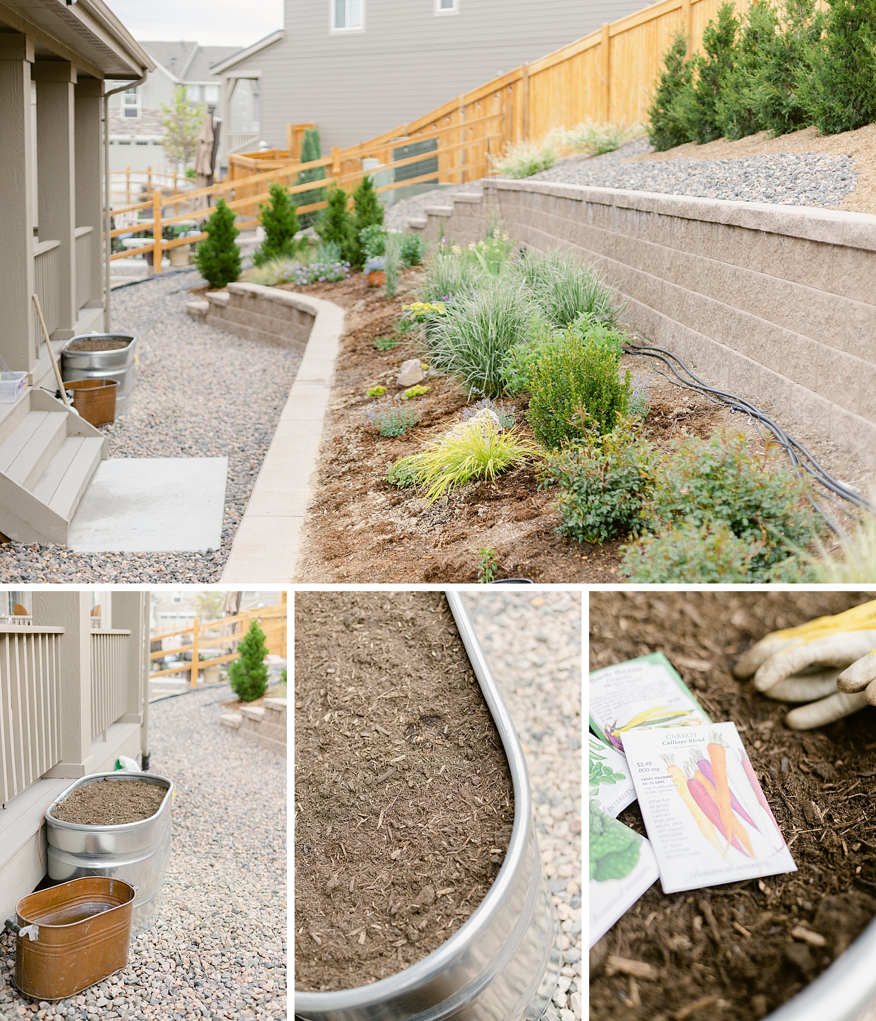 2022 June Garden Tour of floral photographer Brenda Landrum living in Zone 5b Colorado.