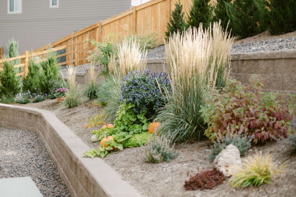 A Floral Photographer's Garden - 2022 October