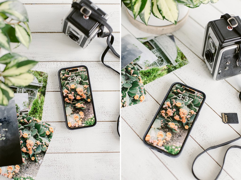 Botanic Garden iPhone Wallpaper Download