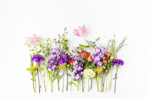 Floral Photography by the Creative Studio of Brenda Landrum in Castle Rock, Colorado