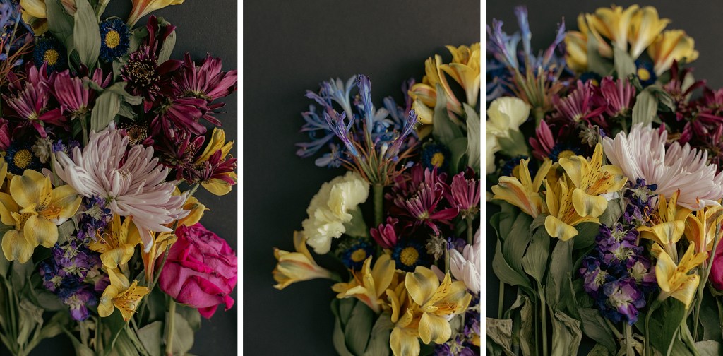 2022 Artist Goals, first floral collection of 2022, Floral Photographer Brenda Landrum of Castle Rock Colorado