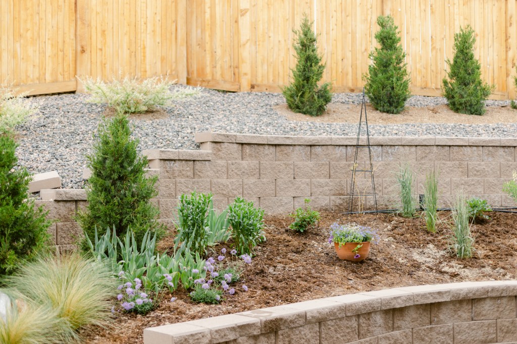 2022 June Garden Tour of floral photographer Brenda Landrum living in Zone 5b Colorado.