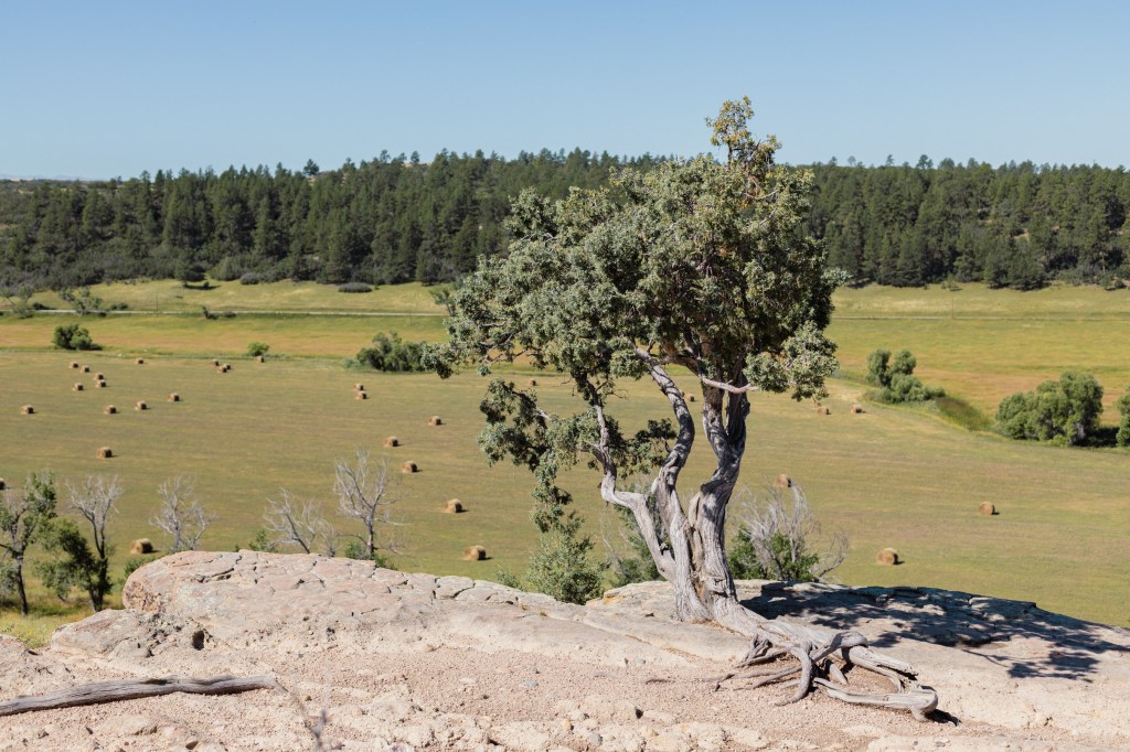 Our Favorite Colorado State Park, Castlewood Canyon near Franktown, Colorado