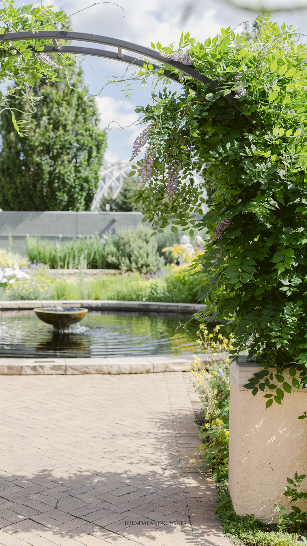 Botanic Garden iPhone Wallpaper Download