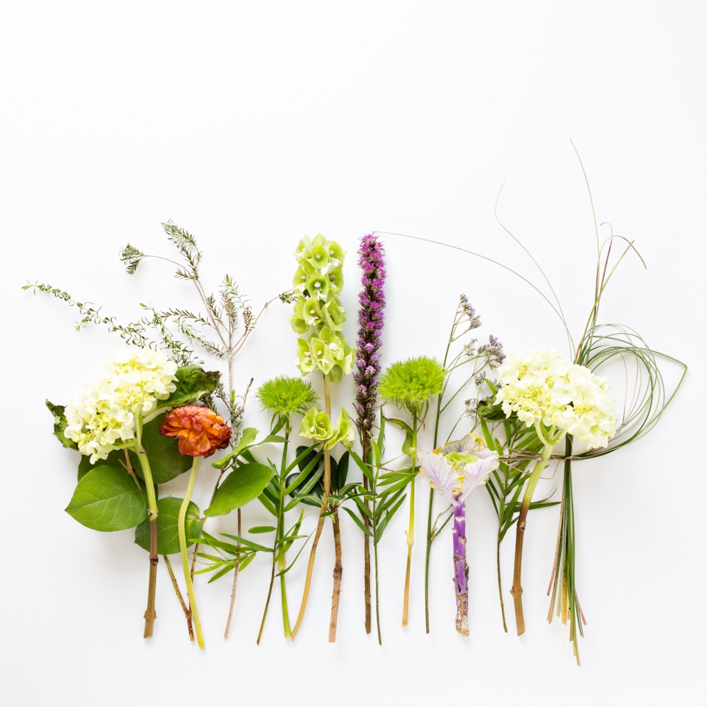 2017 May Deconstruction Project photographed by floral photographer Brenda Landrum of Castle Rock Colorado