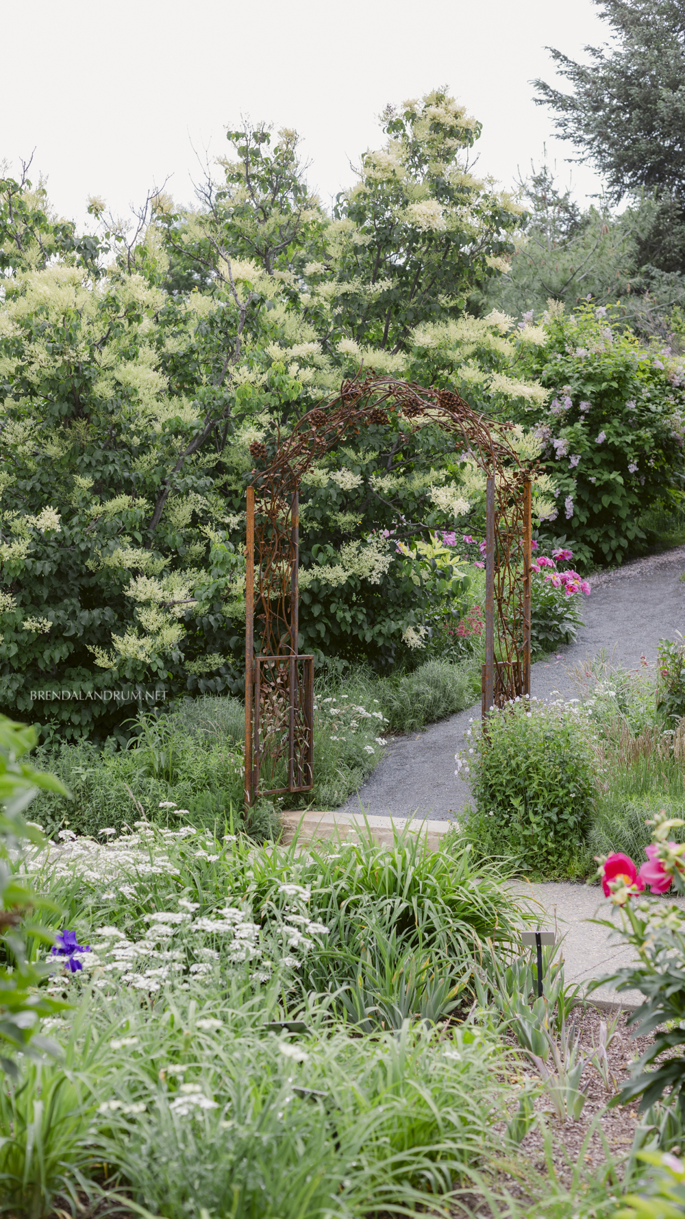 Botanic Garden iPhone Wallpaper Download