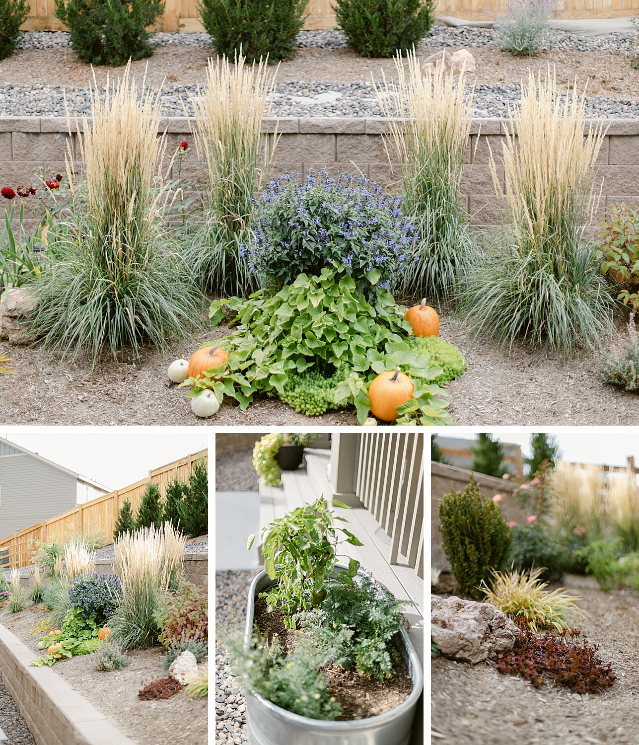 A Floral Photographer's Garden - 2022 October