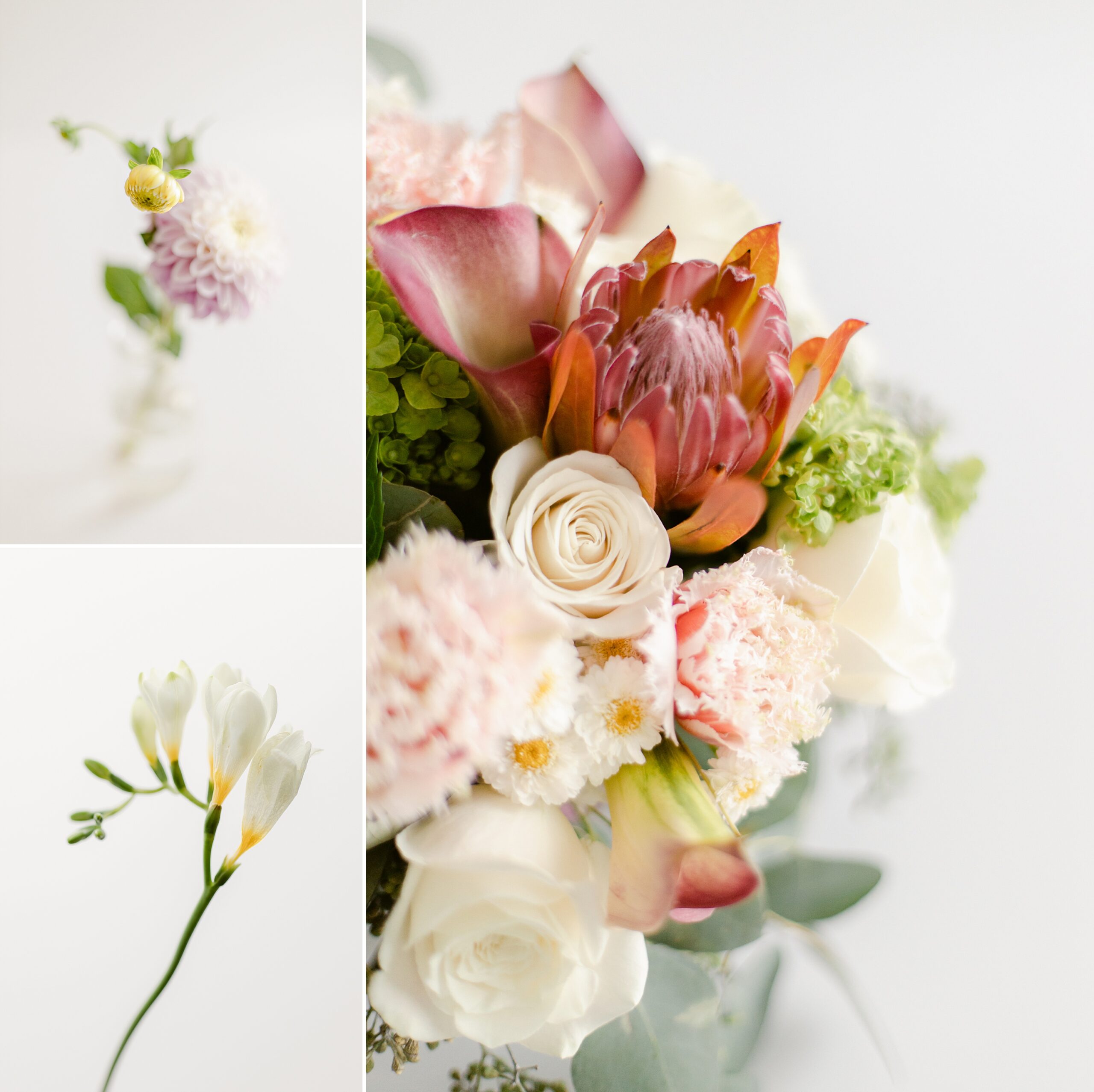 Is your art selfish? Floral Photographer Brenda Landrum of Castle Rock Colorado