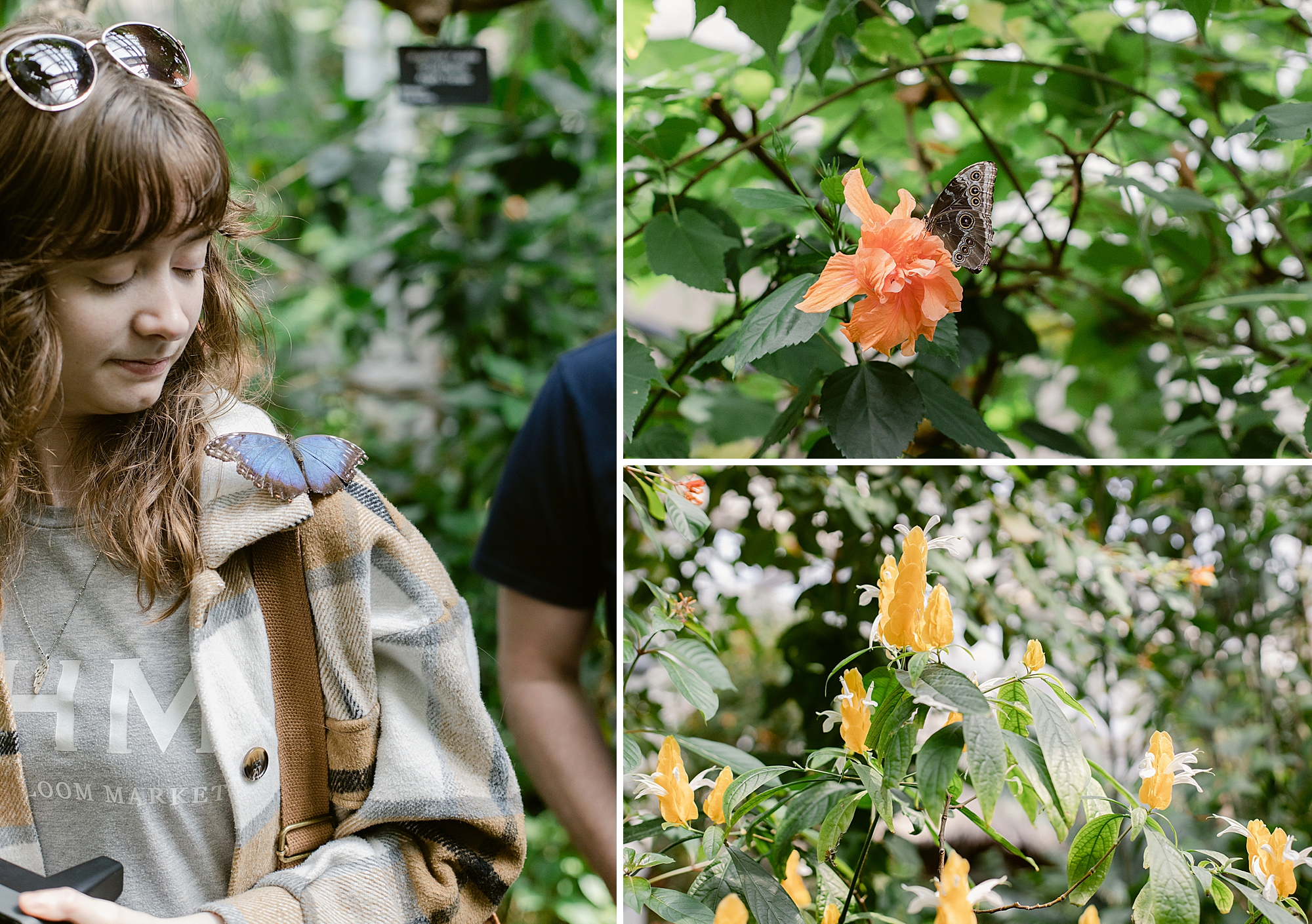 Denver Butterfly Pavilion May 2023, Brenda Landrum Photographer