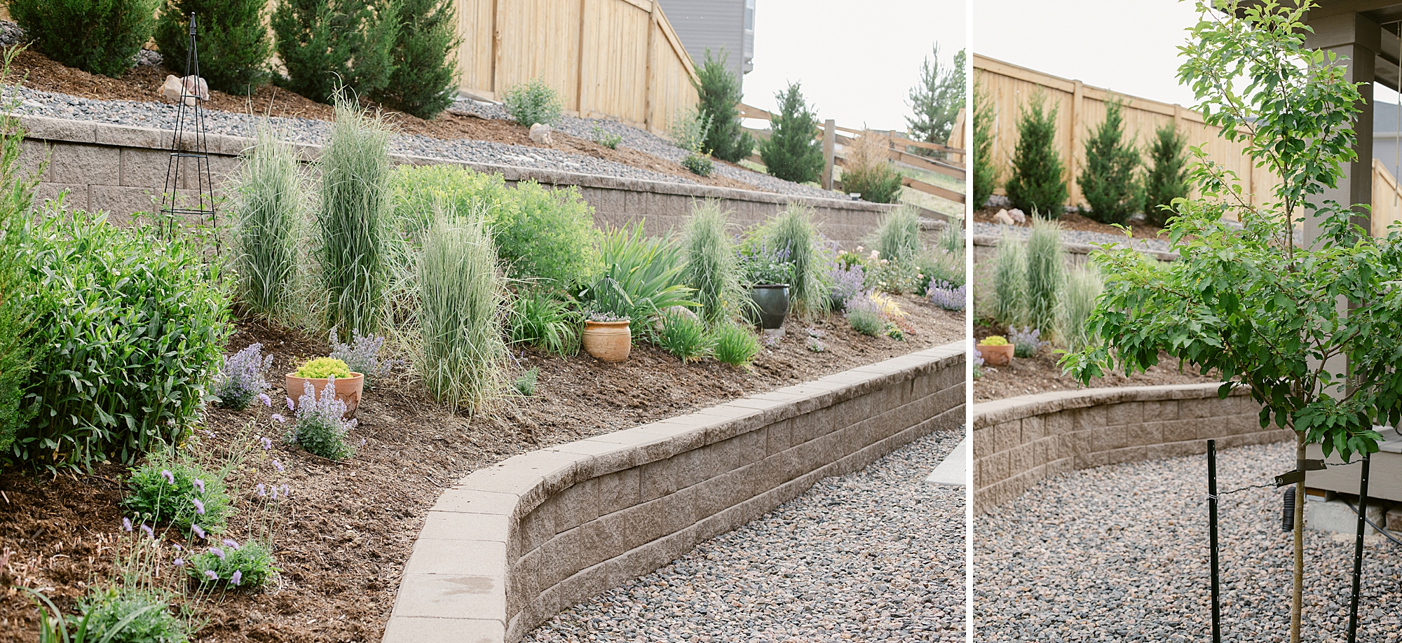 2023 June Garden, floral photographer's personal Colorado garden.