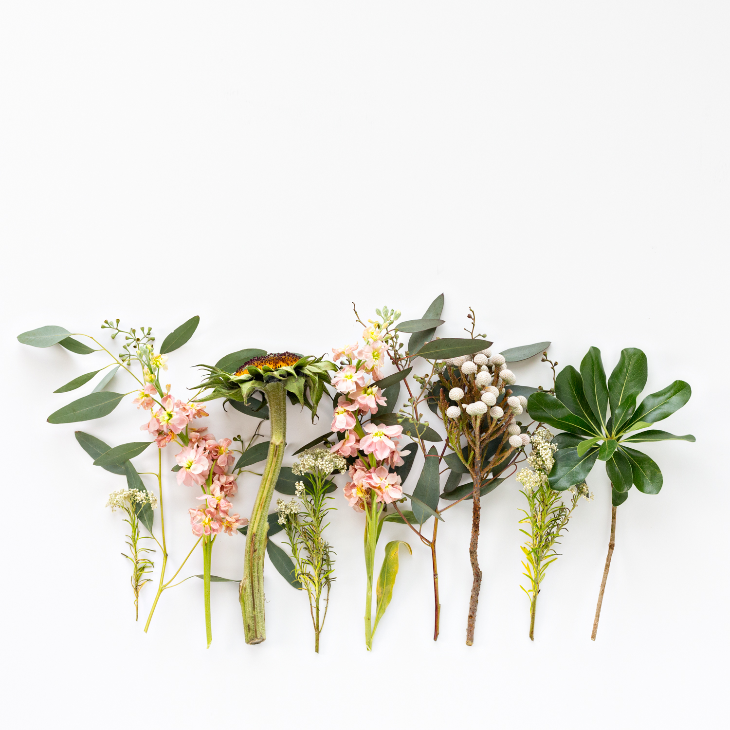 2017 April Deconstruction Project photographed by floral photographer Brenda Landrum of Castle Rock Colorado