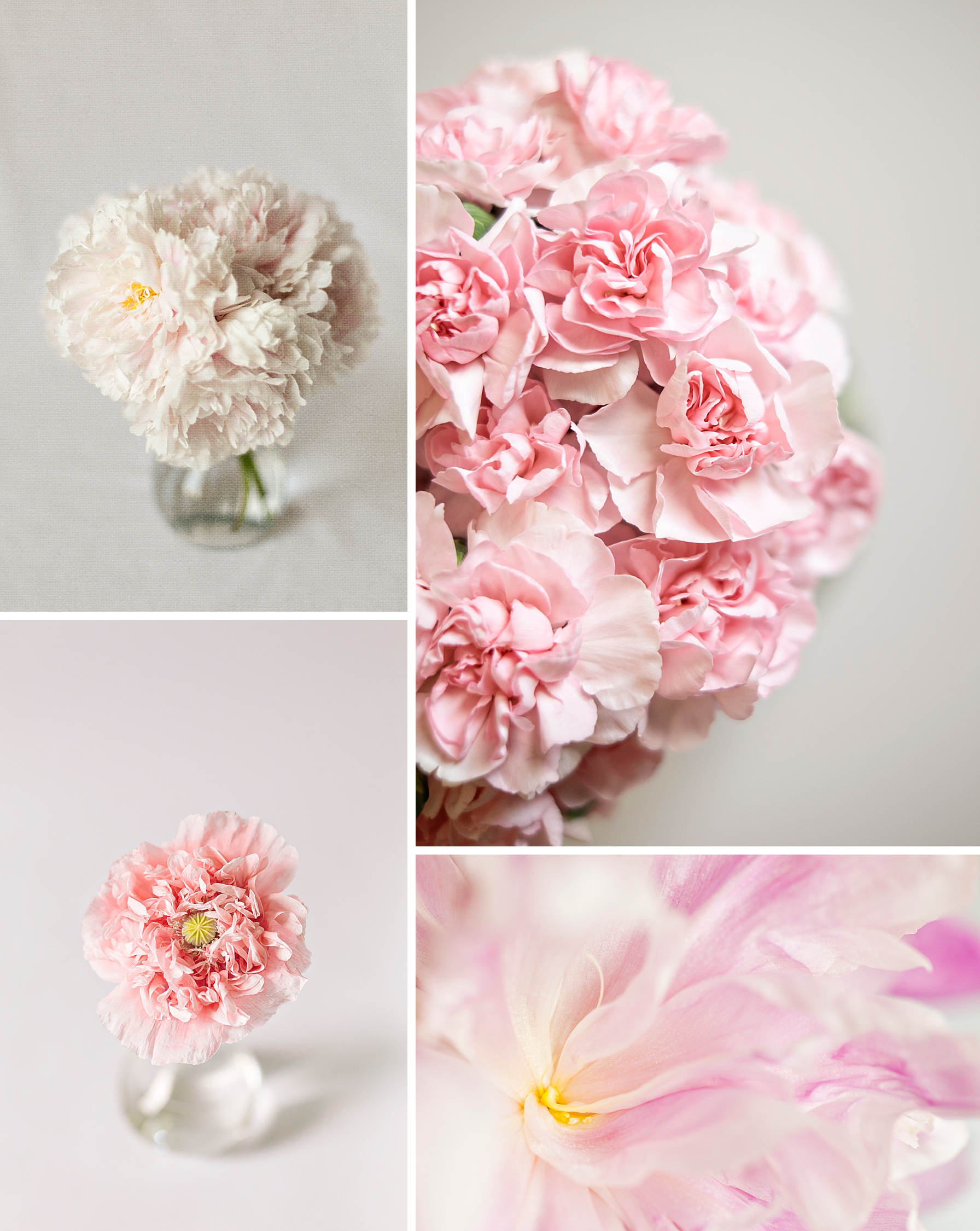 Happy Valentine's Day, Floral Photography in Pinks and Reds by Brenda Landrum