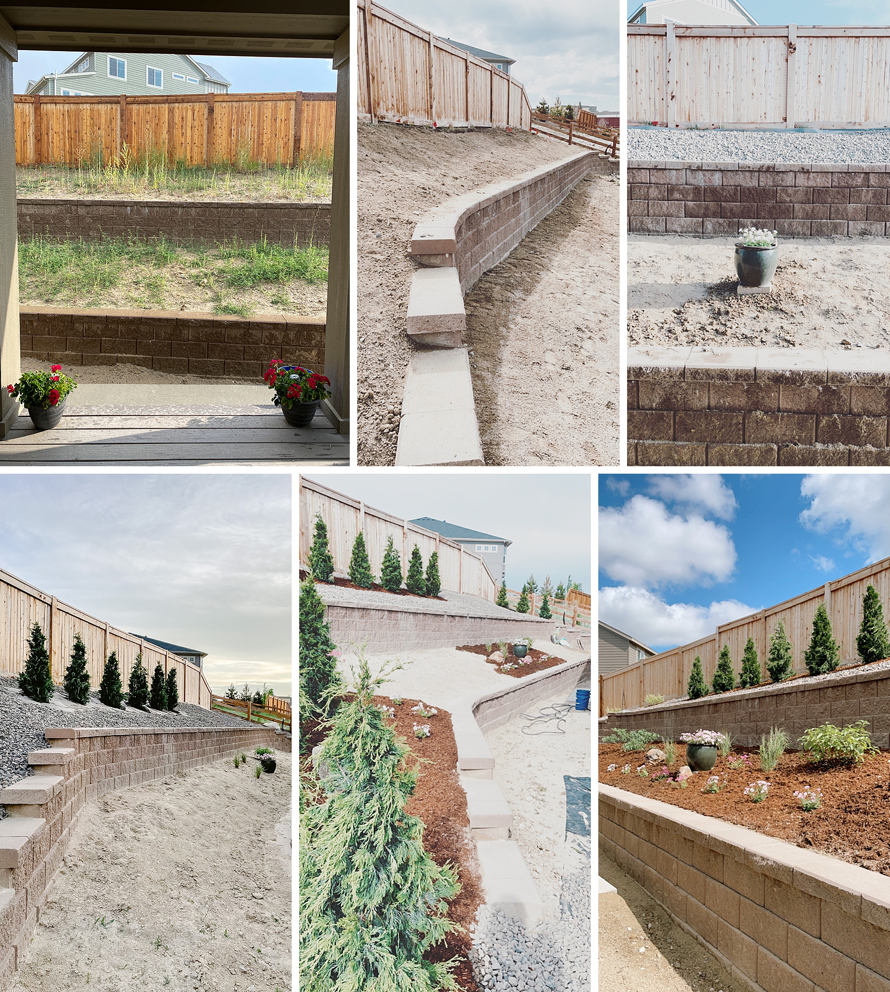 2022 June Garden Tour of floral photographer Brenda Landrum living in Zone 5b Colorado.