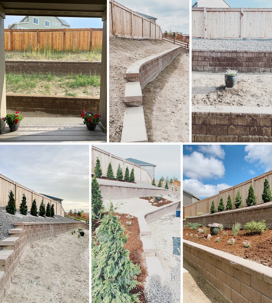 2022 June Garden Tour of floral photographer Brenda Landrum living in Zone 5b Colorado.