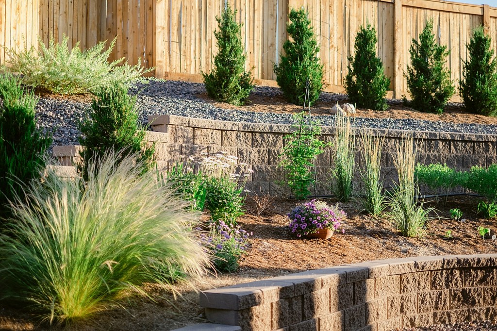 2022 July Garden Tour of floral photographer Brenda Landrum living in Zone 5b Colorado.