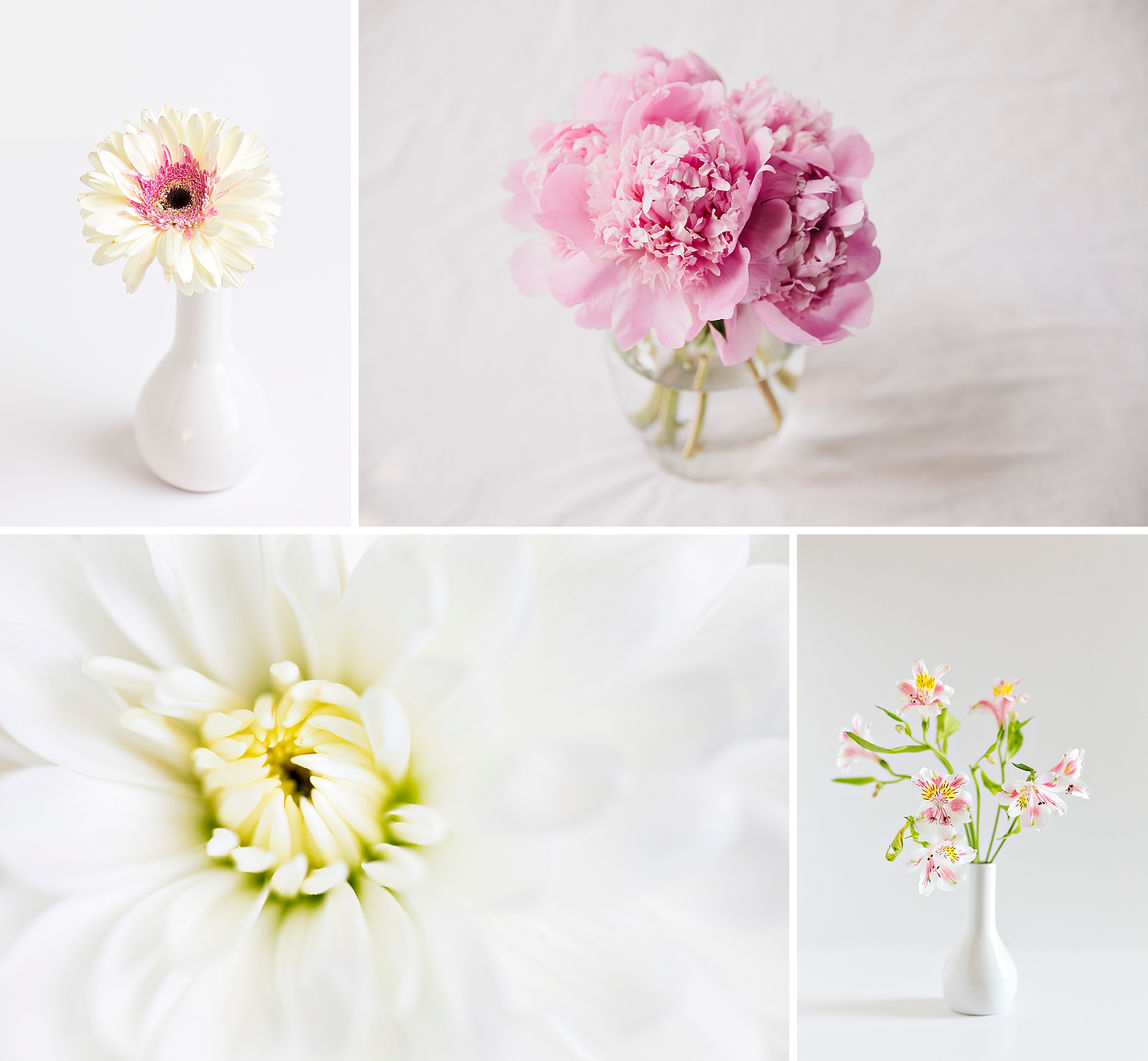 Happy Valentine's Day, Floral Photography in Pinks and Reds by Brenda Landrum