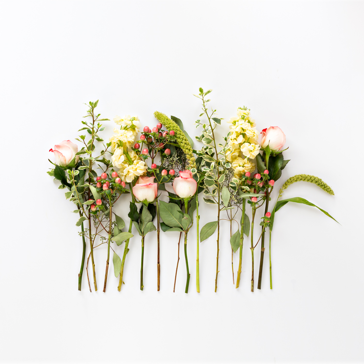 2017 September Deconstruction Project photographed by floral photographer Brenda Landrum of Castle Rock Colorado