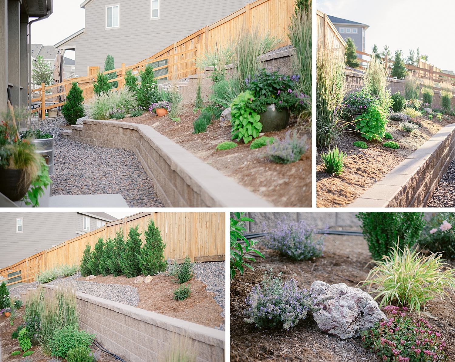 2022 July Garden Tour of floral photographer Brenda Landrum living in Zone 5b Colorado.