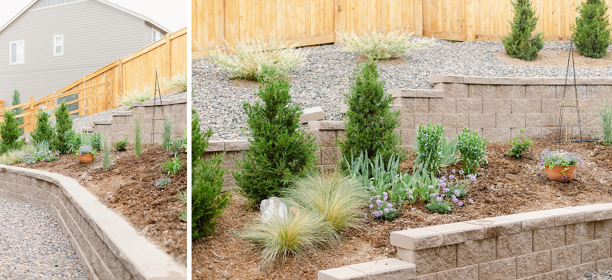 2022 June Garden Tour of floral photographer Brenda Landrum living in Zone 5b Colorado.