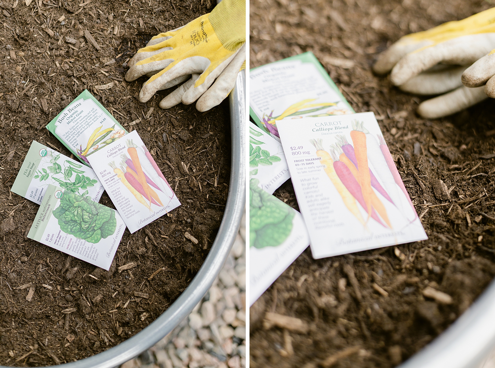 Stock tank raised garden bed