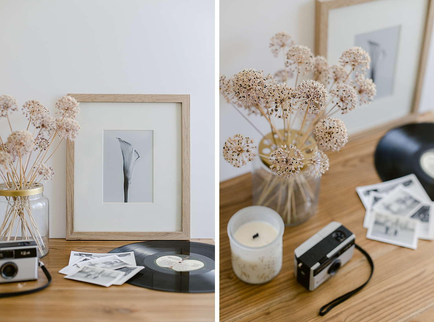 Potted amaryllis bulb, dried allium blooms, framed floral fine art print, vintage camera, vintage Beatles record, still life photography, Brenda Landrum of Colorado