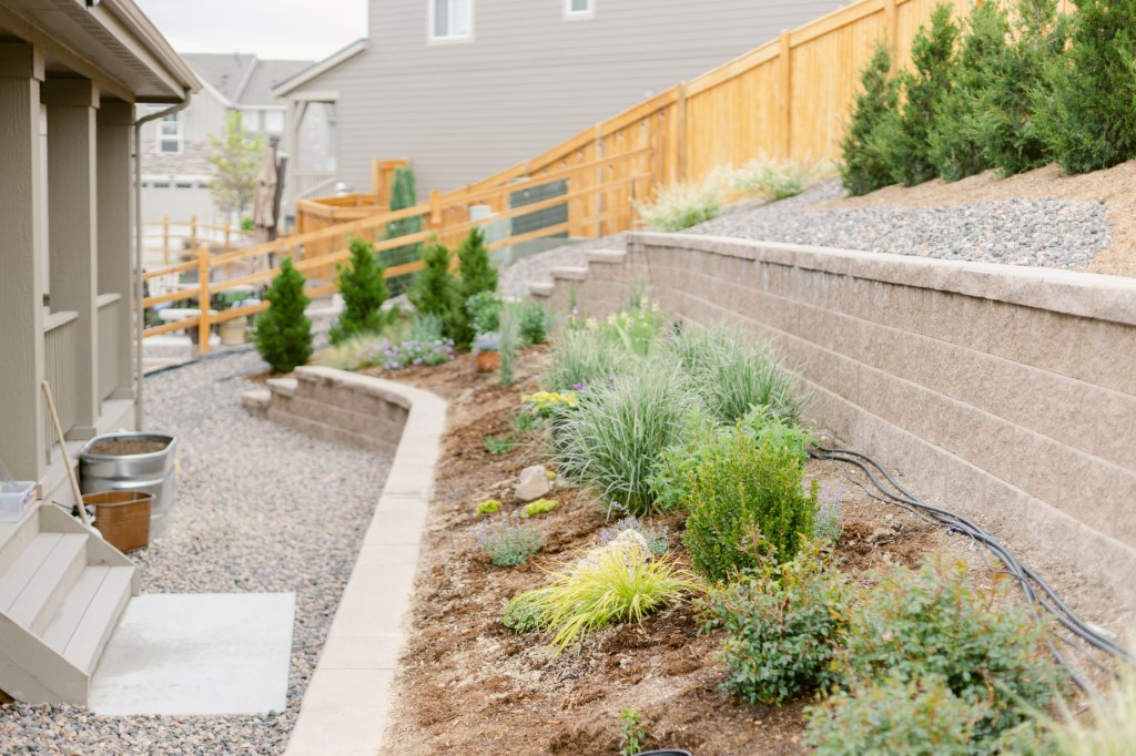 Start of a new stock tank raised bed in my South Metro Colorado garden.
