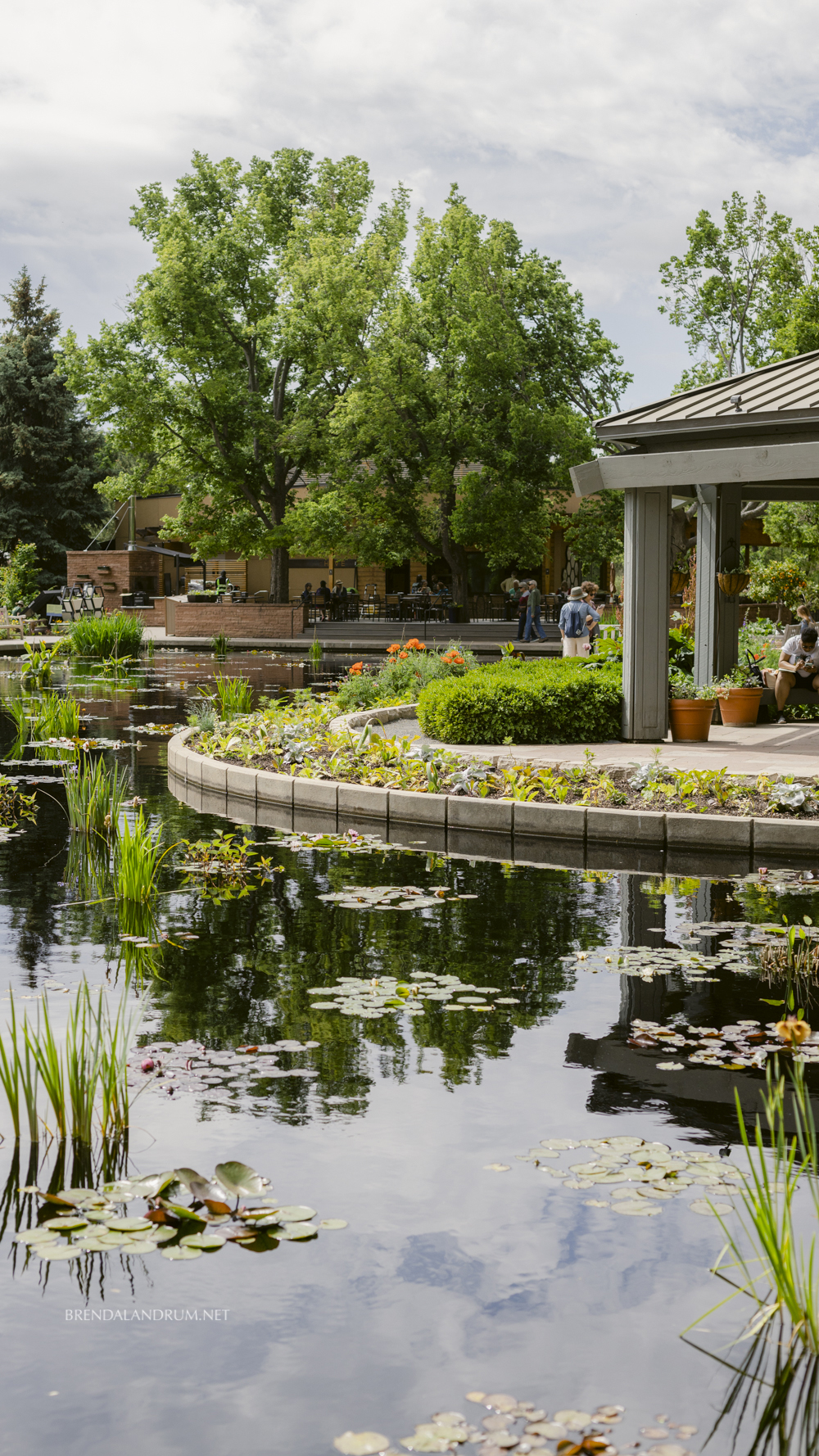 Botanic Garden iPhone Wallpaper Download