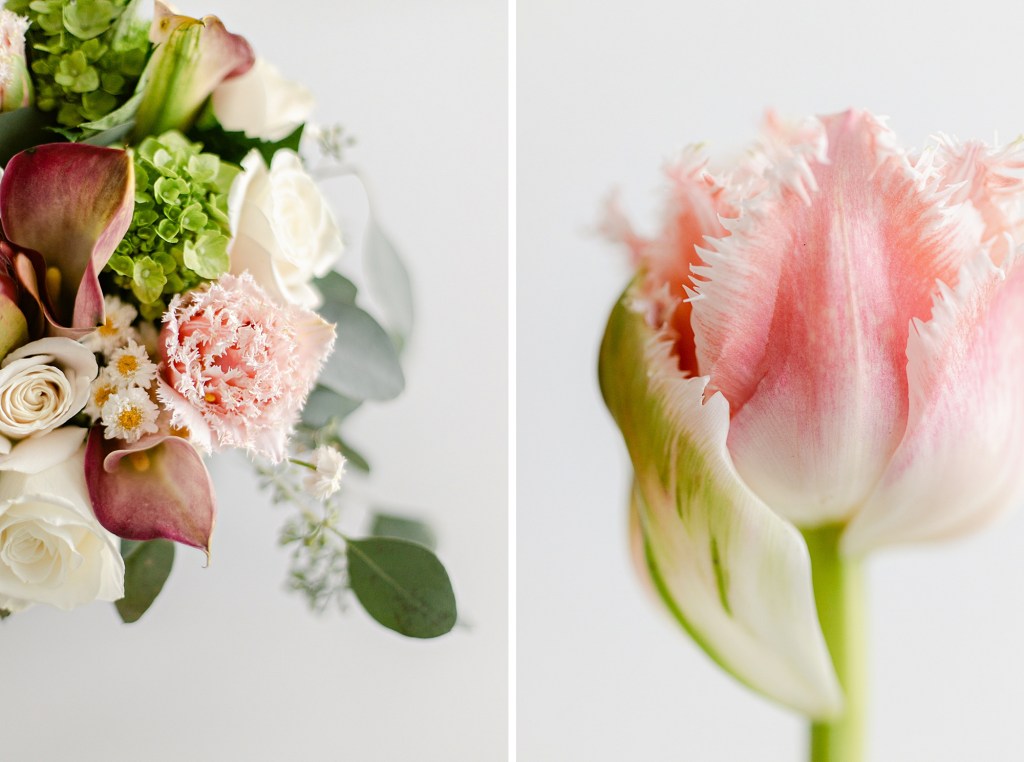 2021 Favorites, Fine Art Floral Photographer Brenda Landrum