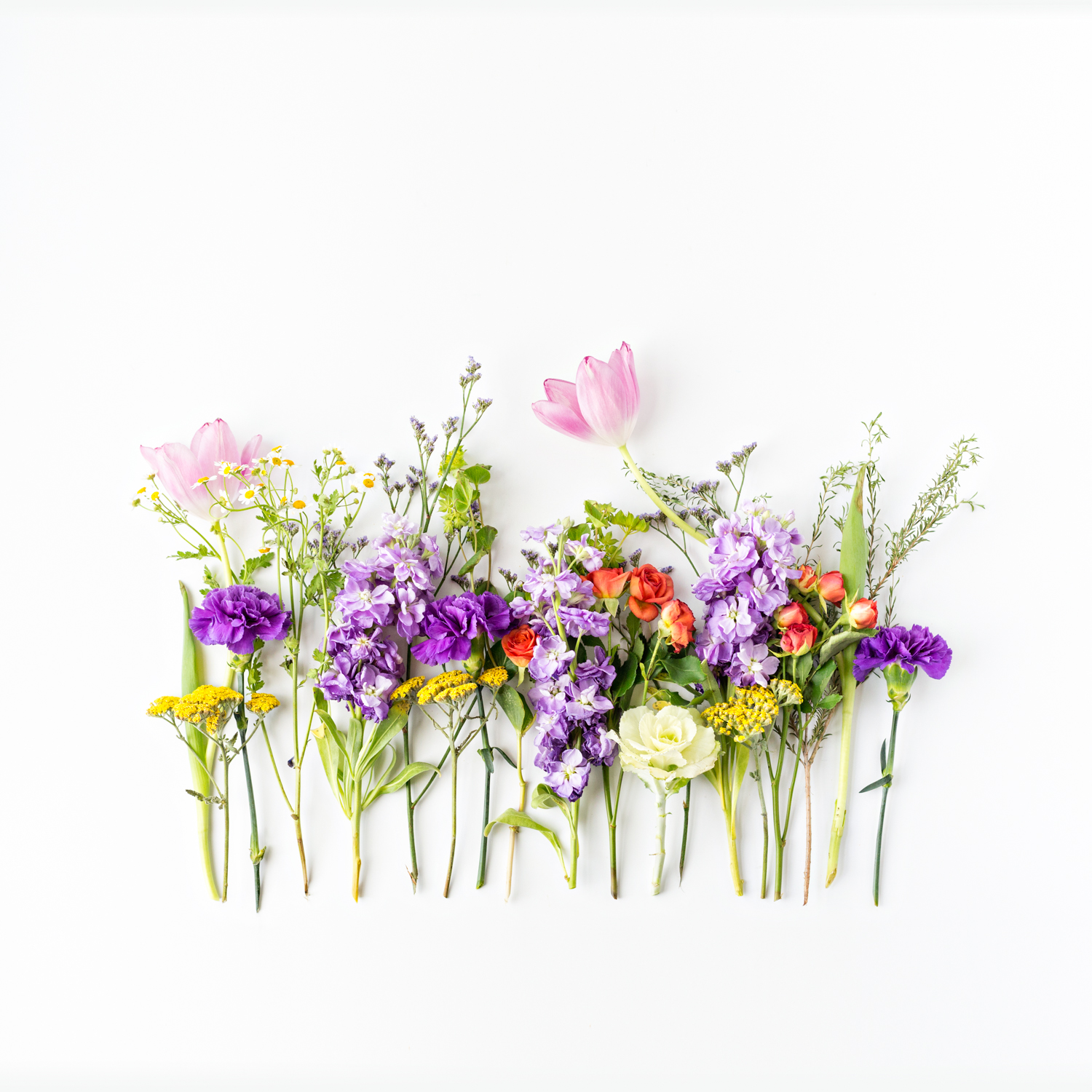 2017 June Deconstruction Project photographed by floral photographer Brenda Landrum of Castle Rock Colorado