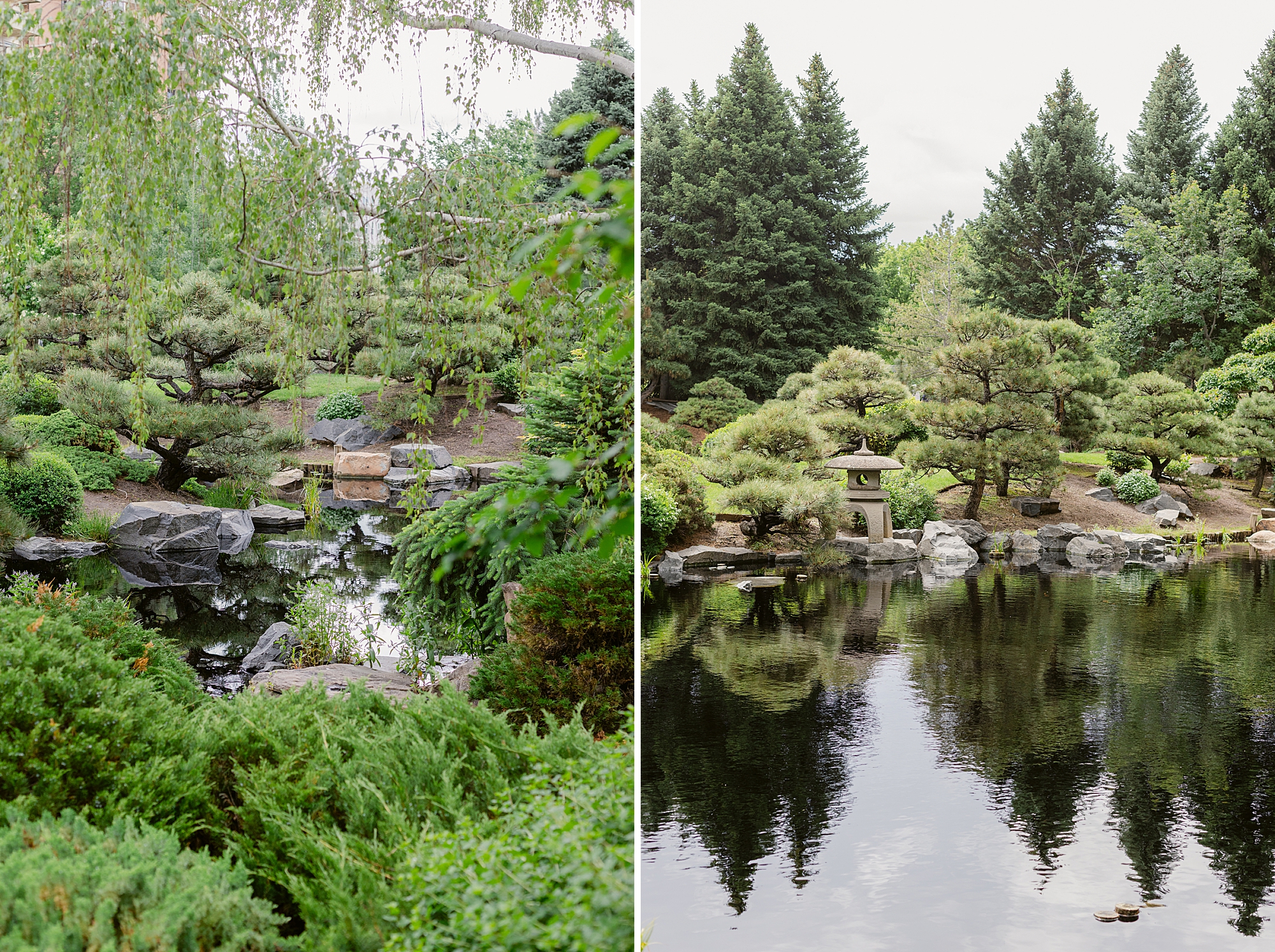 Denver Botanic Garden on York Street