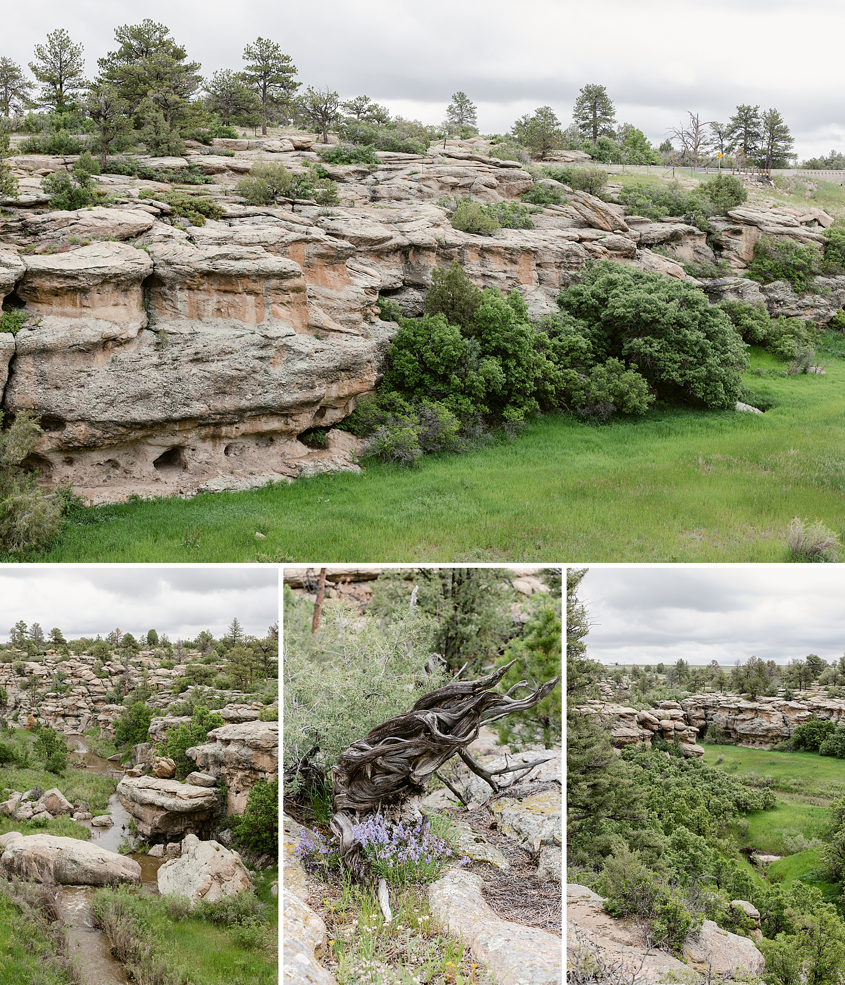 Castlewood Canyon State Park in Franktown, Colorado. East Canyon Trail June 2023