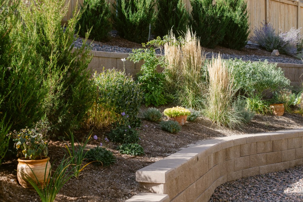 Garden tour of a photographers garden in Zone 5 Colorado.