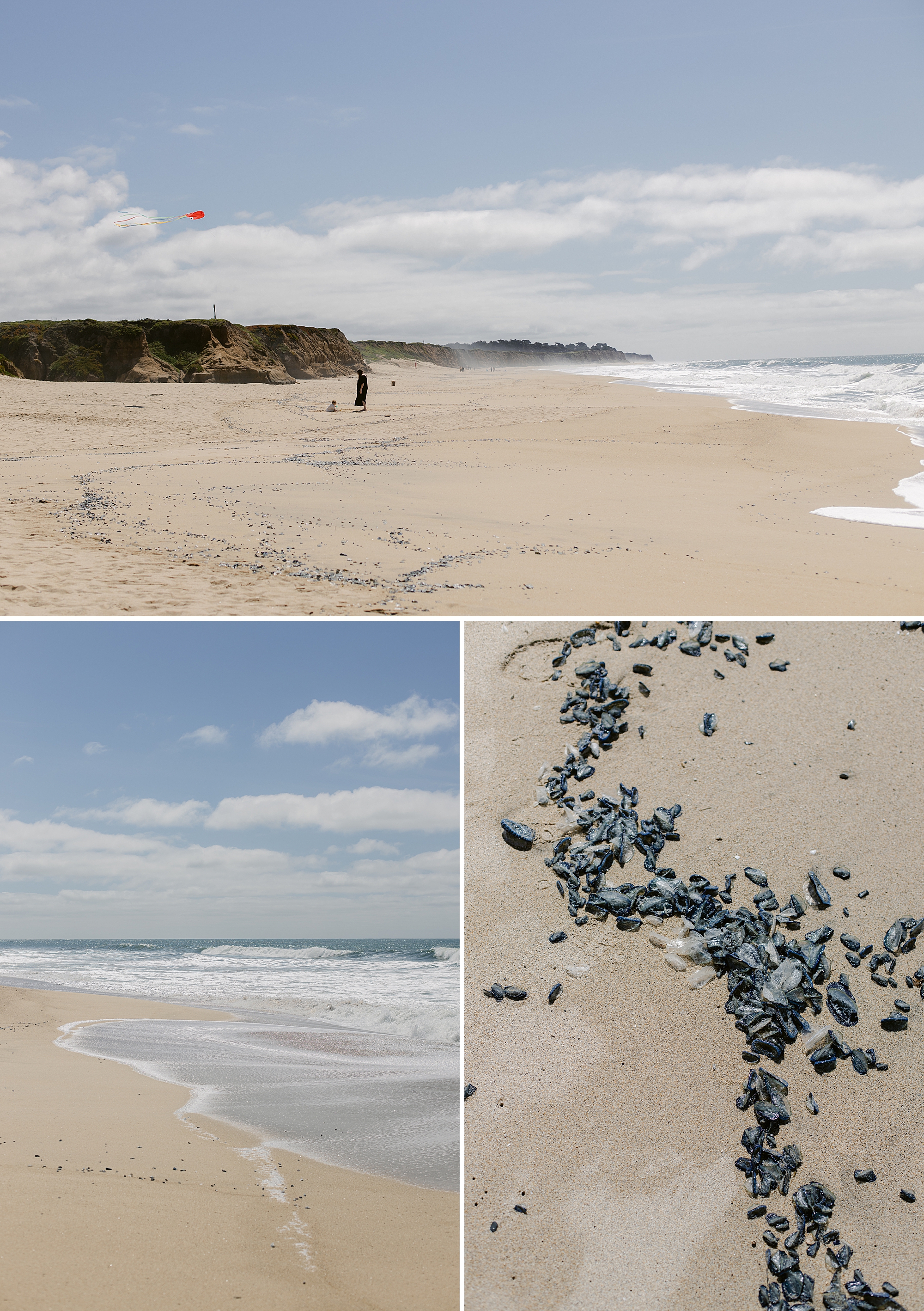 Half Moon Bay State Beach photographed by Brenda Landrum Photographer