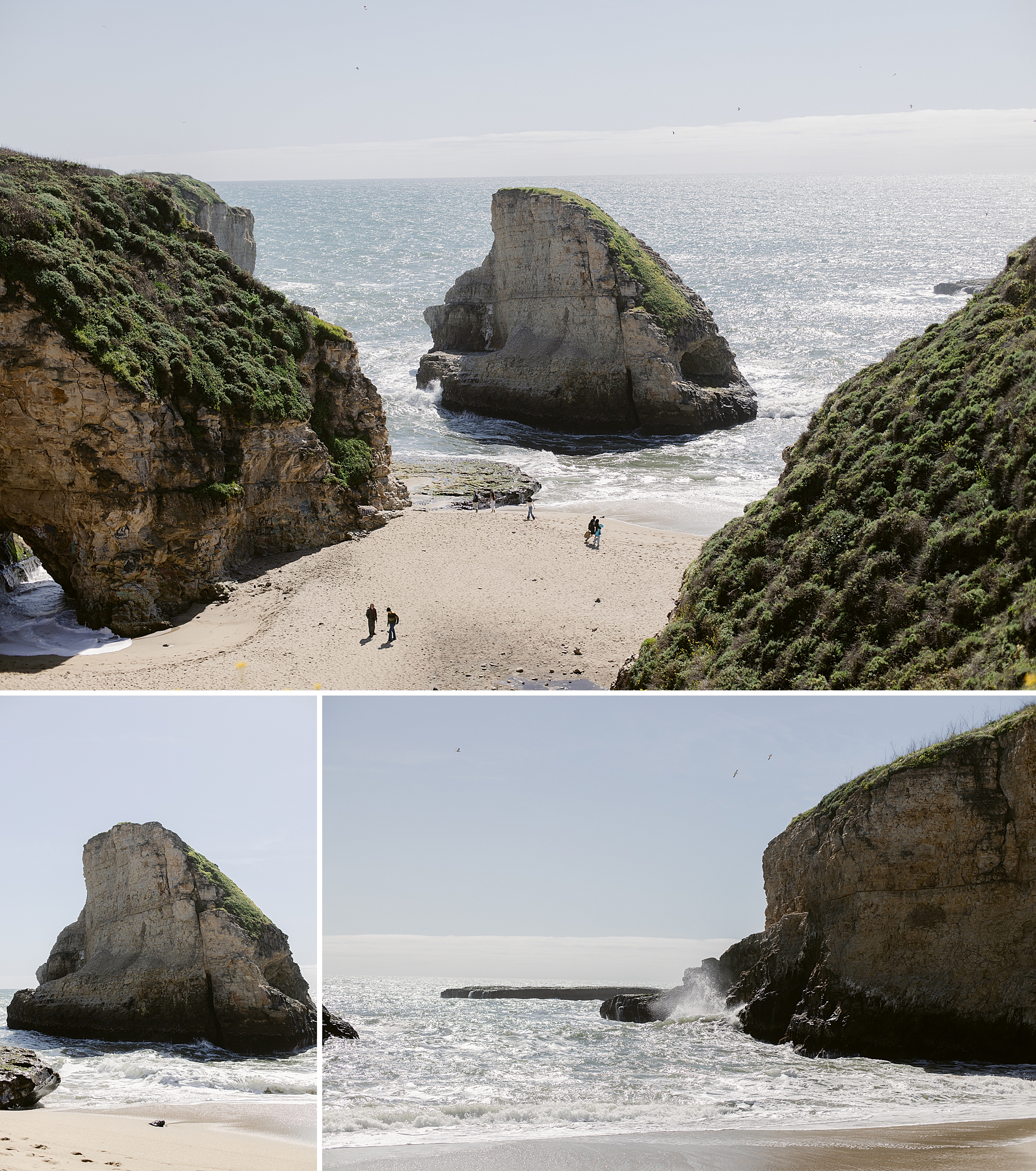 Shark Fin Cove along California Highway 1, Landscape Photography by Brenda Landrum