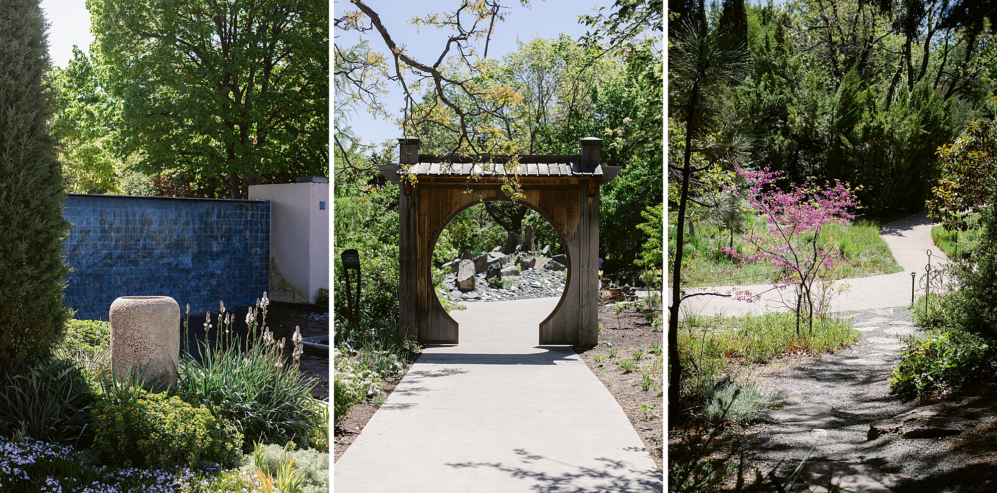 Denver Botanic Gardens on York, St. photographed by Brenda Landrum