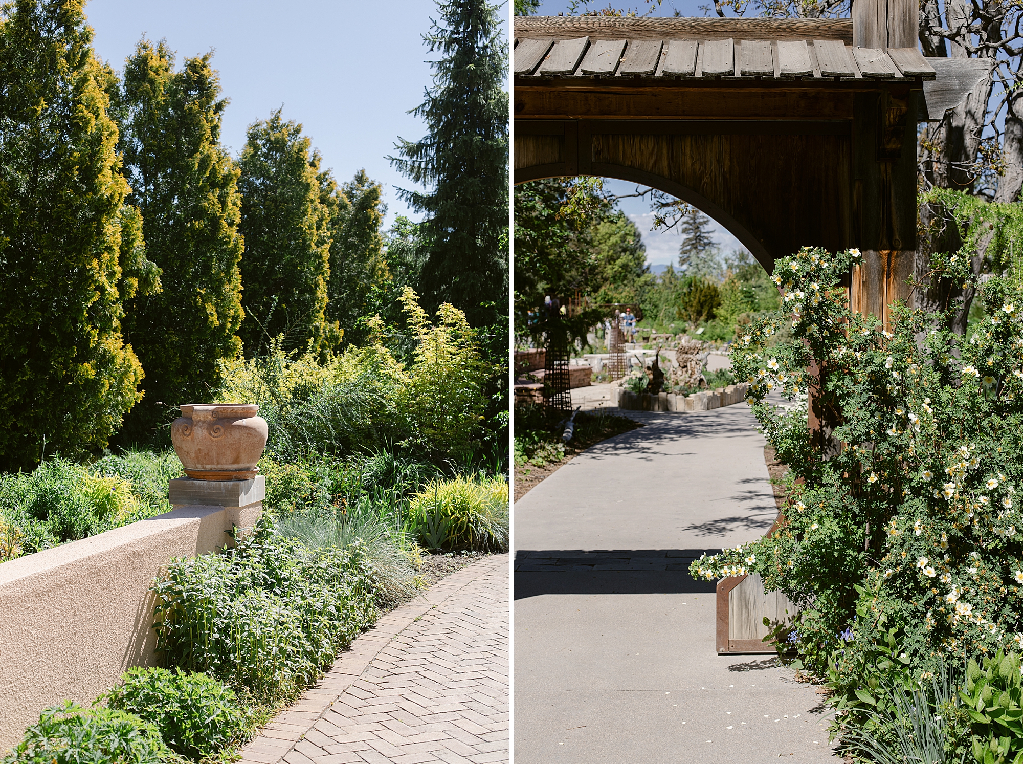 Denver Botanic Gardens on York, St. photographed by Brenda Landrum