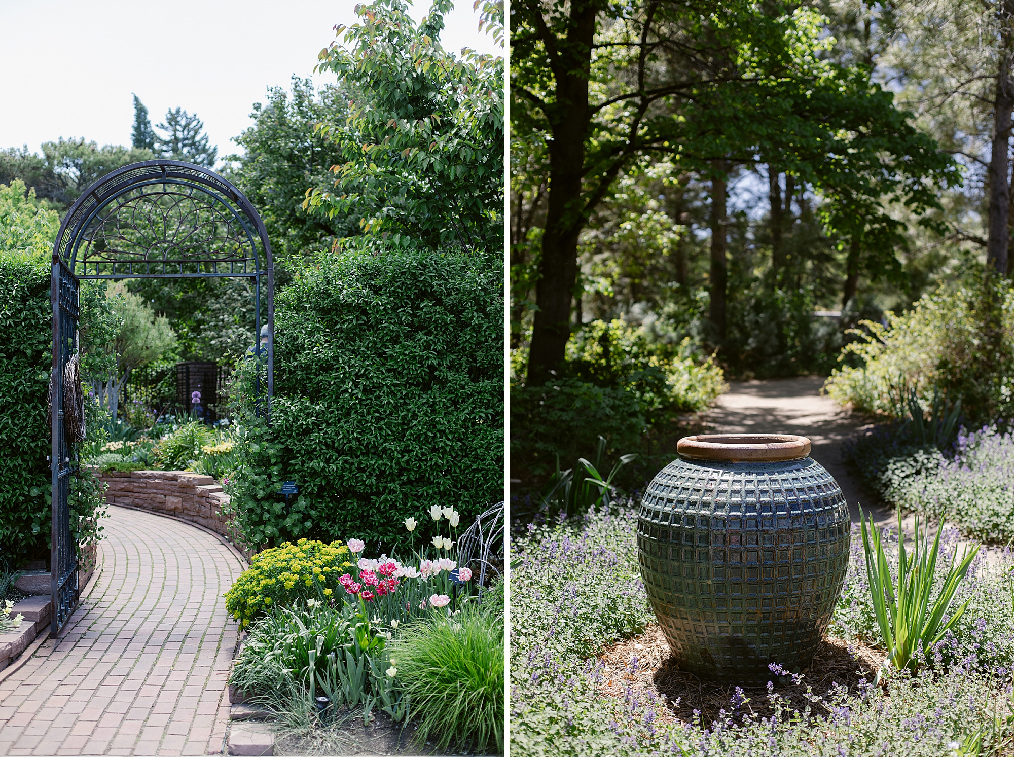 Denver Botanic Gardens on York, St. photographed by Brenda Landrum