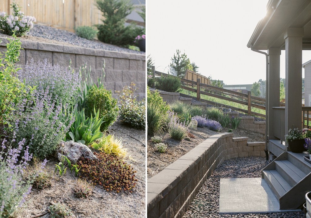 2024 May Garden Tour of Colorado Floral Photographer Brenda Landrum