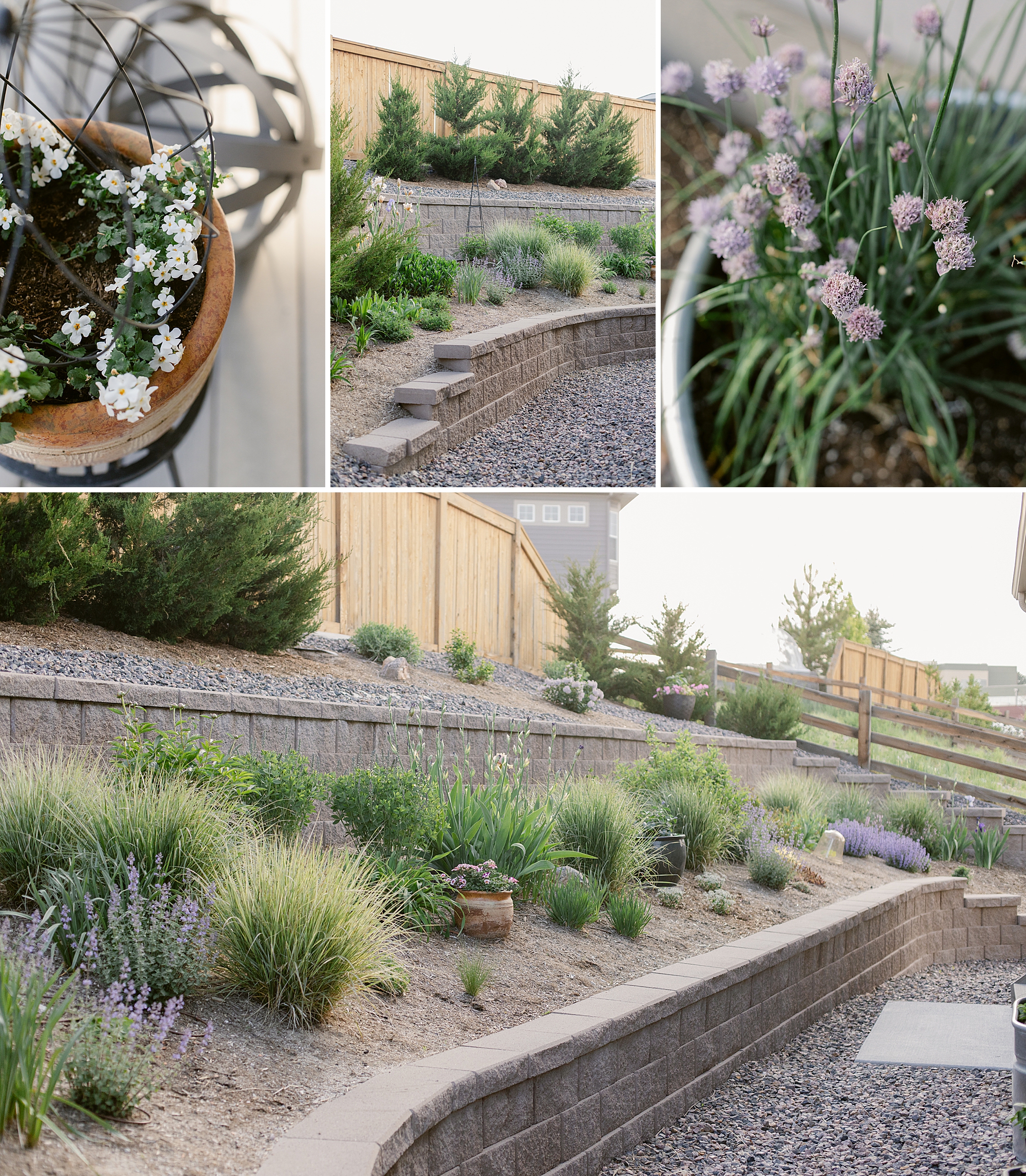 2024 May Garden Tour of Colorado Floral Photographer Brenda Landrum