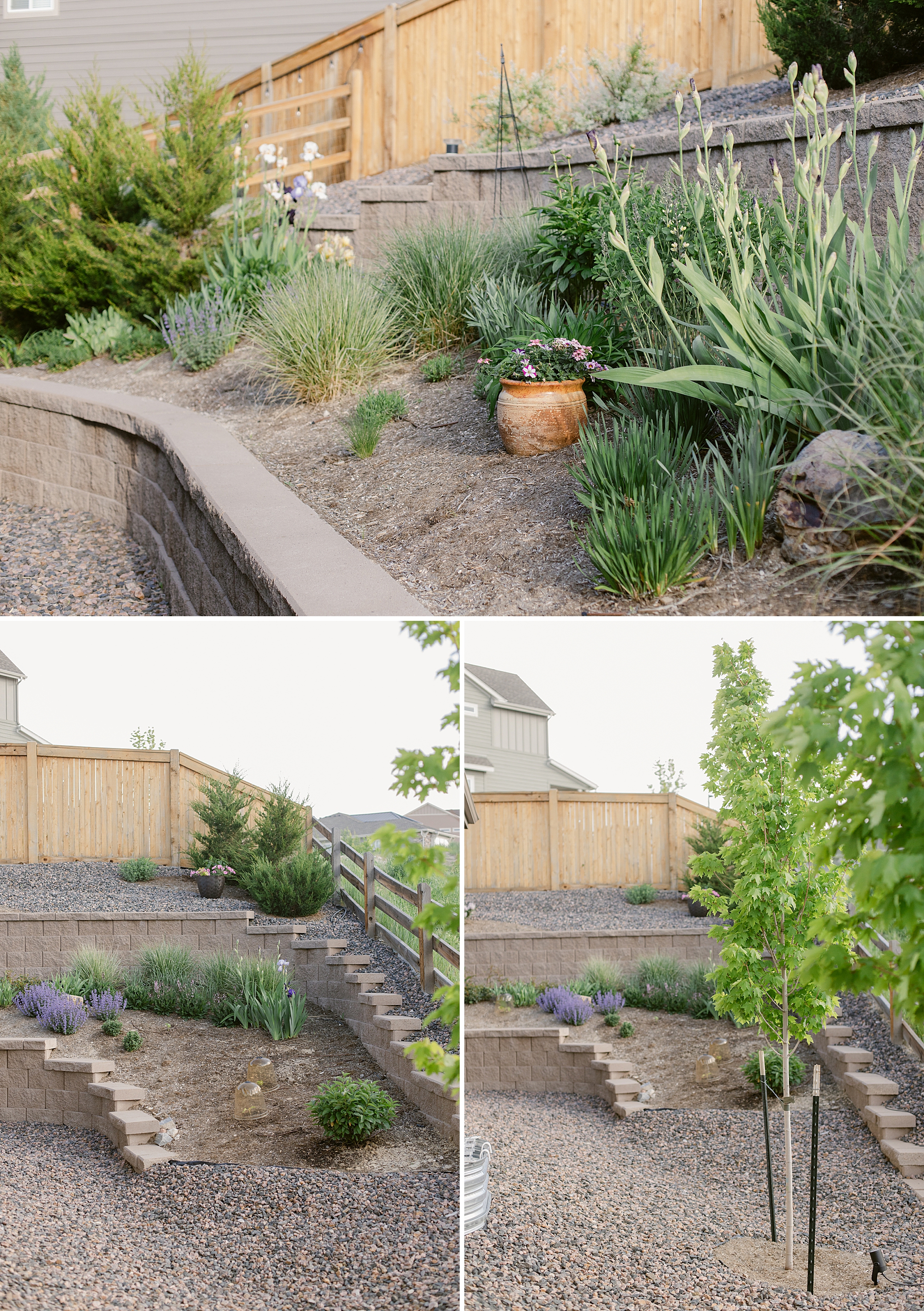 2024 May Garden Tour of Colorado Floral Photographer Brenda Landrum