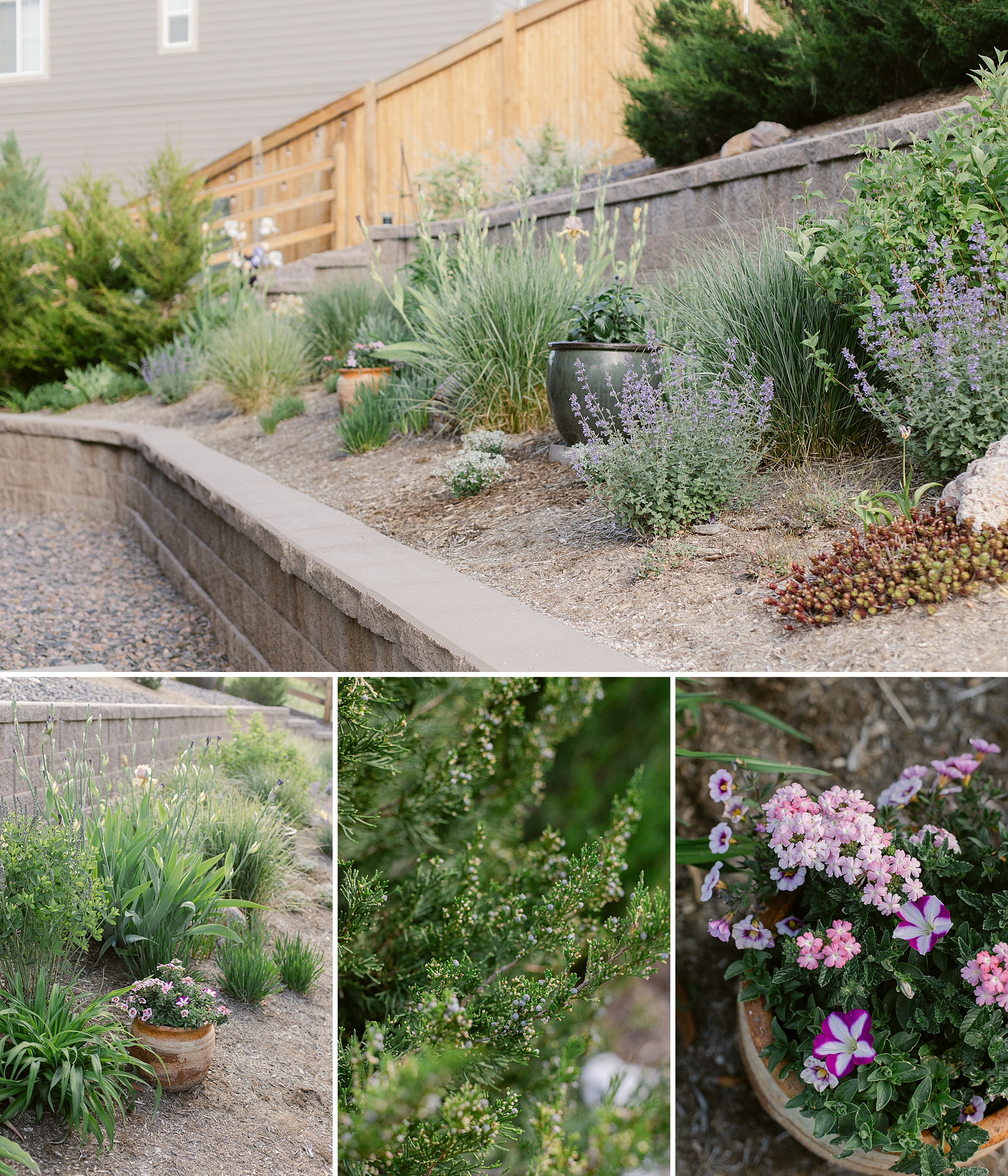 2024 May Garden Tour of Colorado Floral Photographer Brenda Landrum