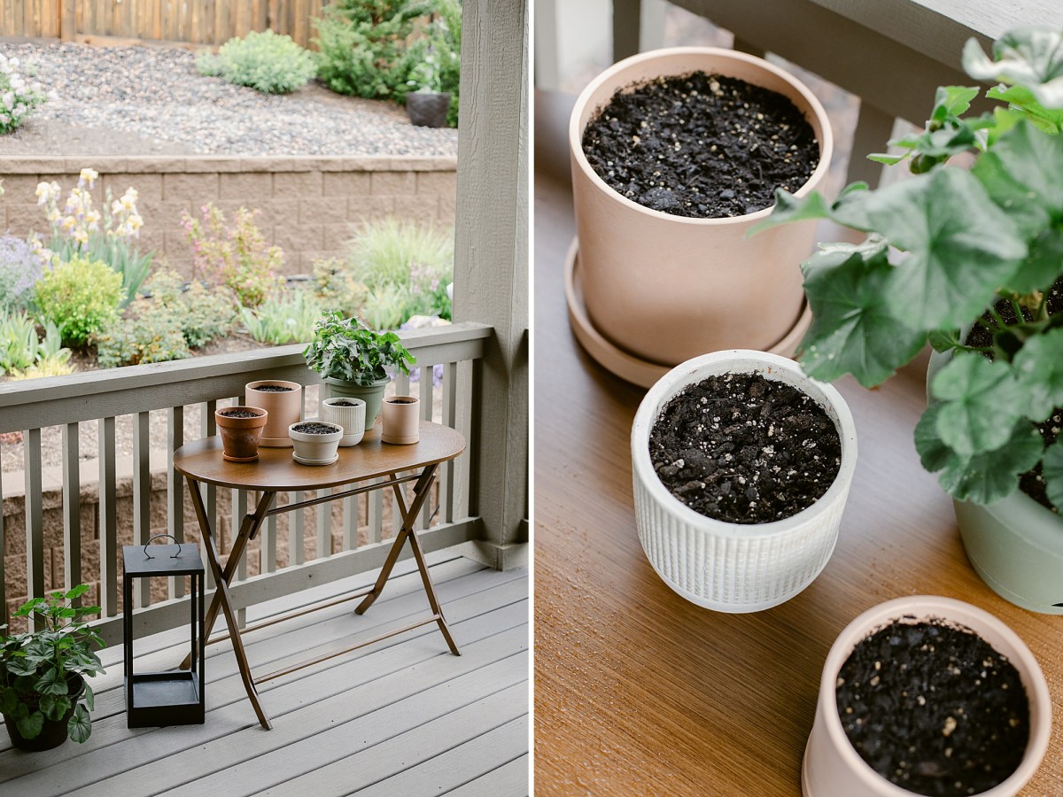 Small Potted Herb&nbsp;Garden