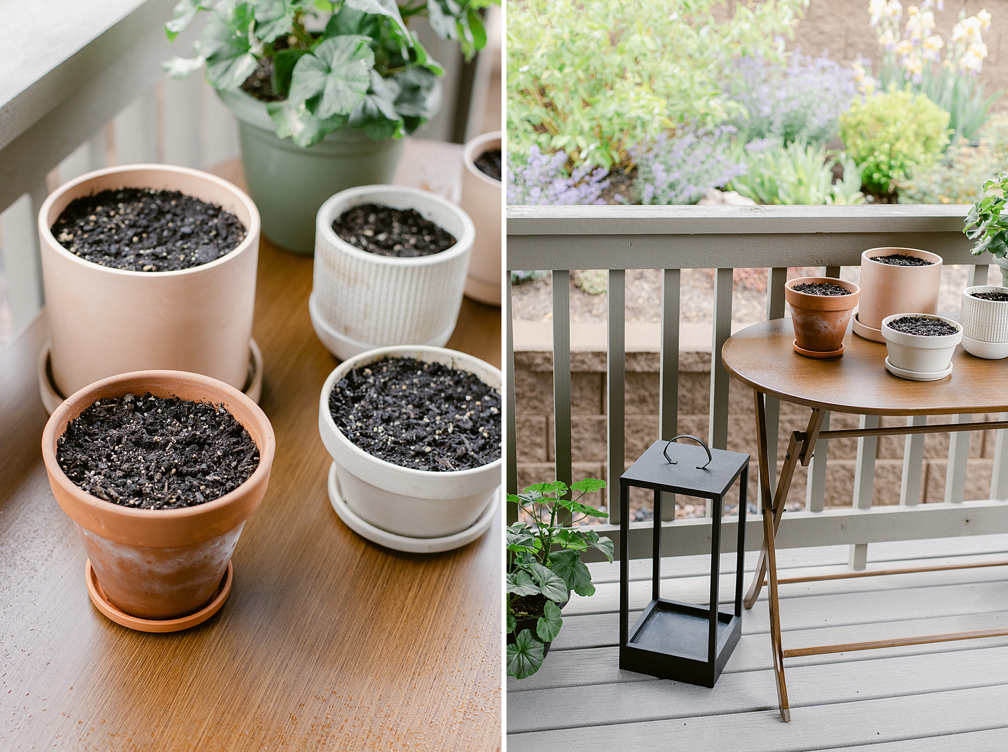 Small potted herb garden on south facing covered deck in Colorado. Living a creative life in South Metro Colorado.