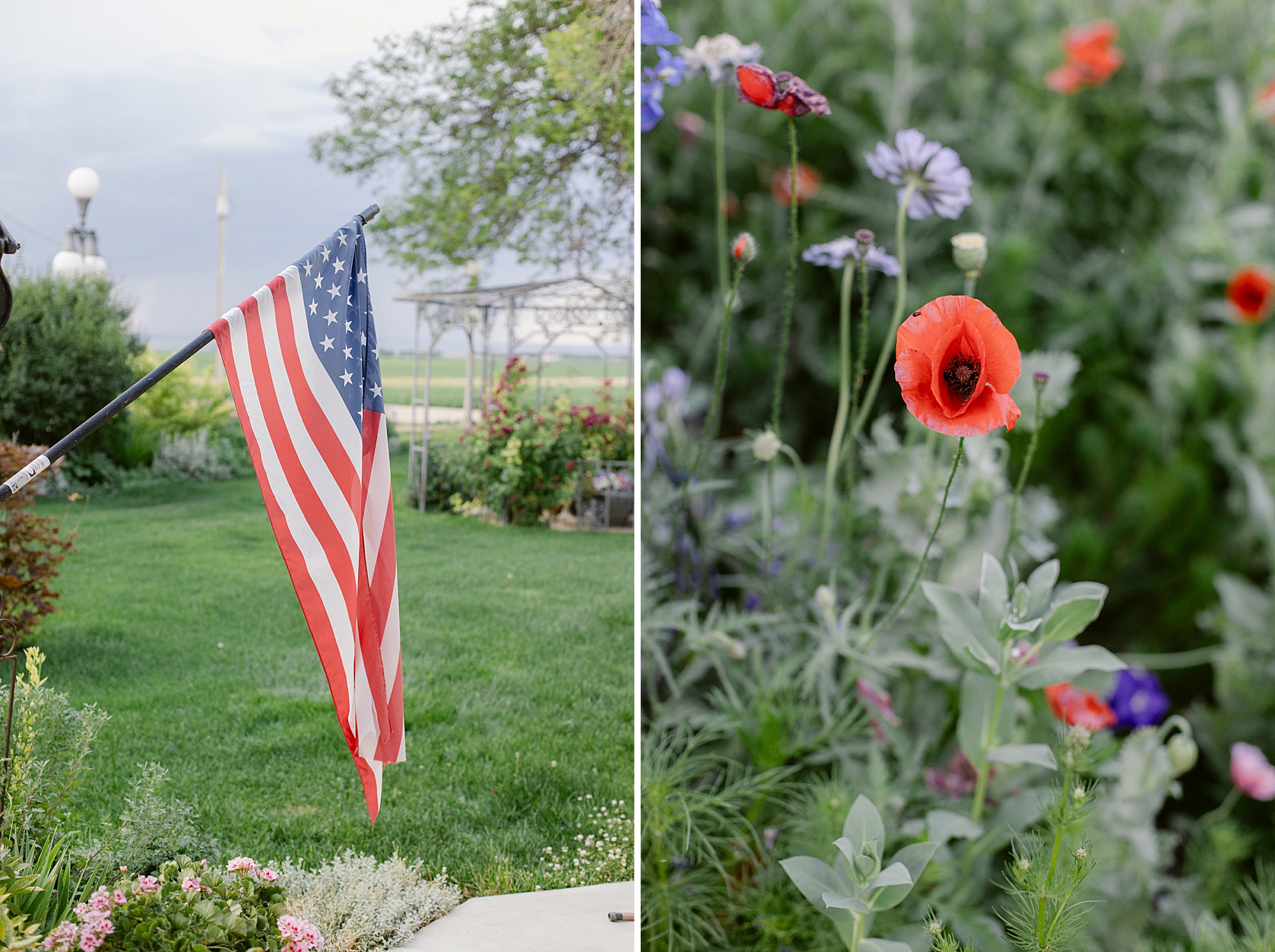 A close-up of an American flag waving in a garden setting with lush green grass and colorful flowers in the background.