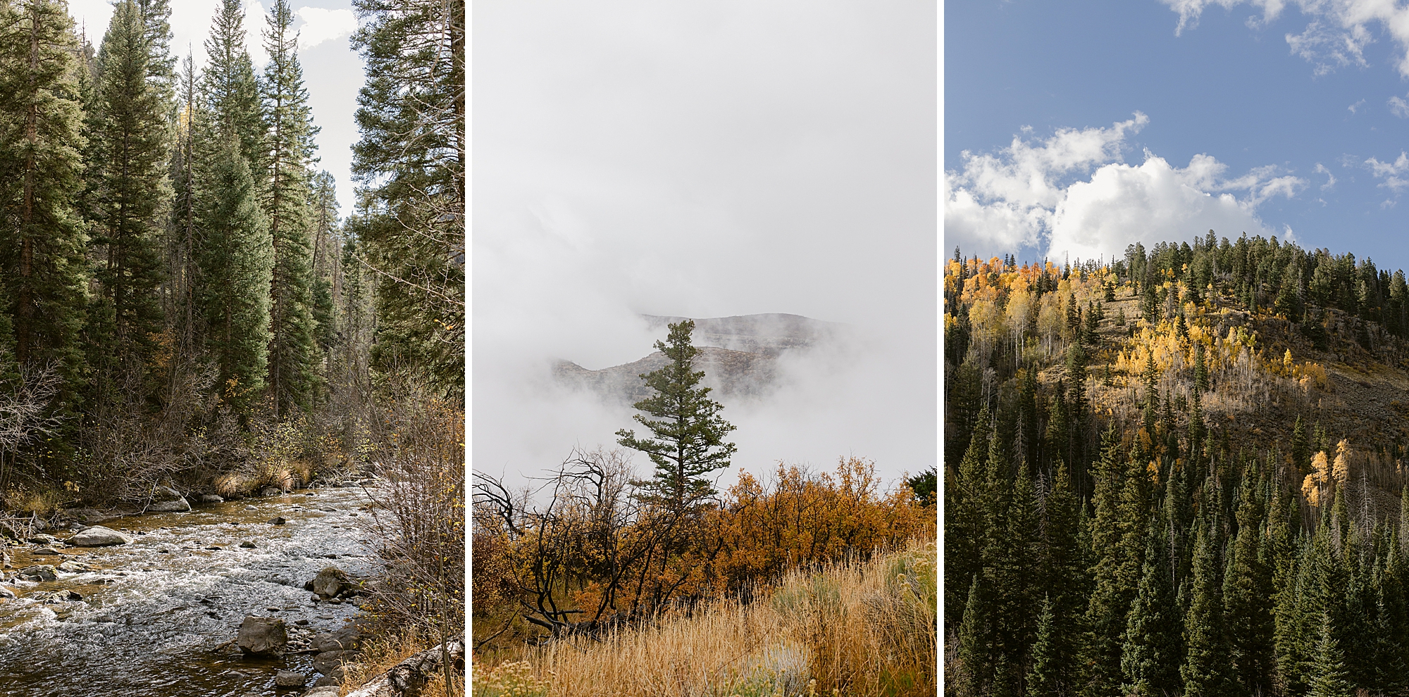 Southern Colorado Landscape Photography, Pagosa Springs, Wolf Creek Pass, Mesa Verde, Great Sand Dunes National Park.
